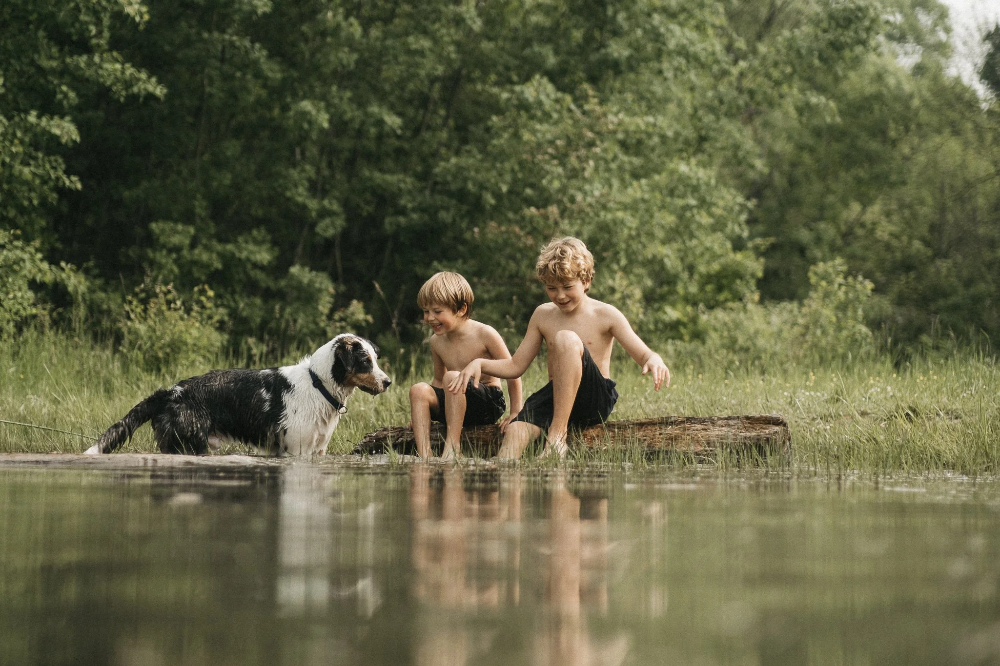 Two young boys playing with a black and white dog near a creek in a wooded area
