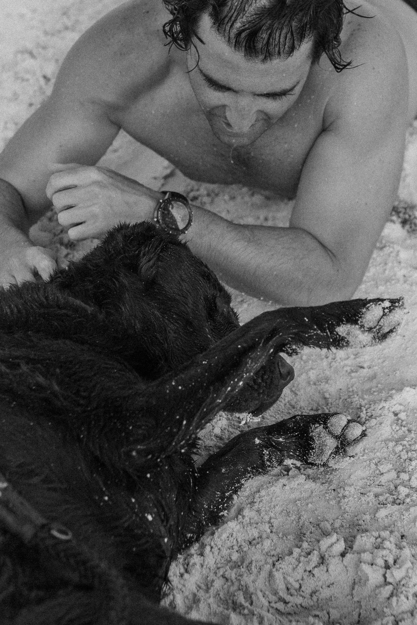 A shirtless man with curly hair and a watch on his left wrist plays with a black Labrador retriever on a sandy beach, both covered in sand.
