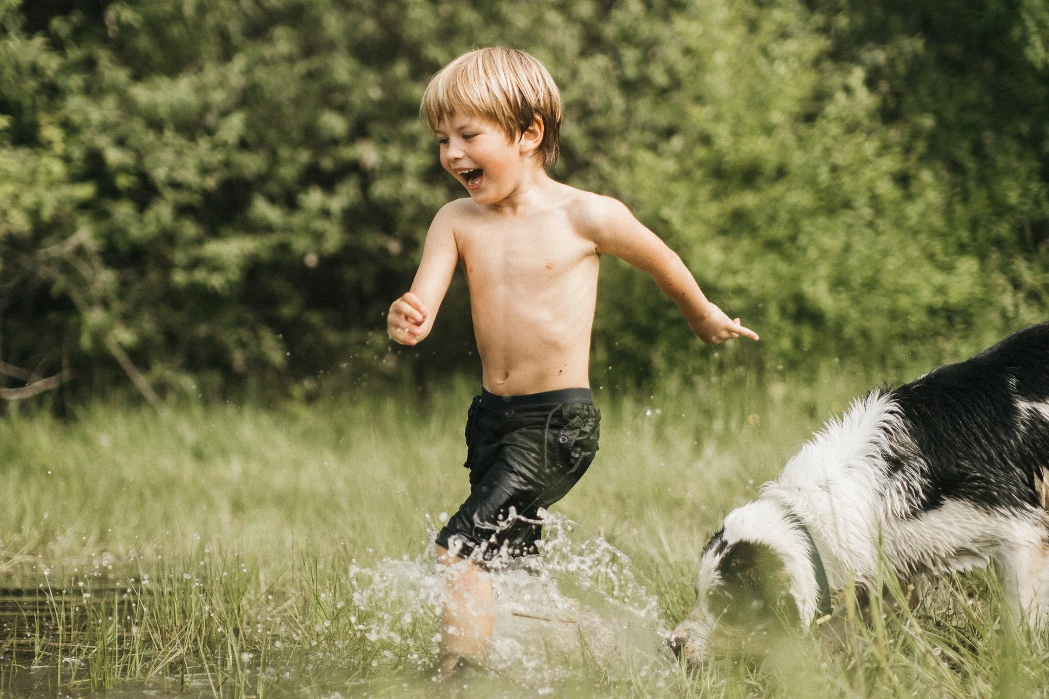 A young boy with blonde hair, shirtless, wearing black shorts, running through a shallow pond with a black and white dog in a grassy outdoor setting with trees in the background.