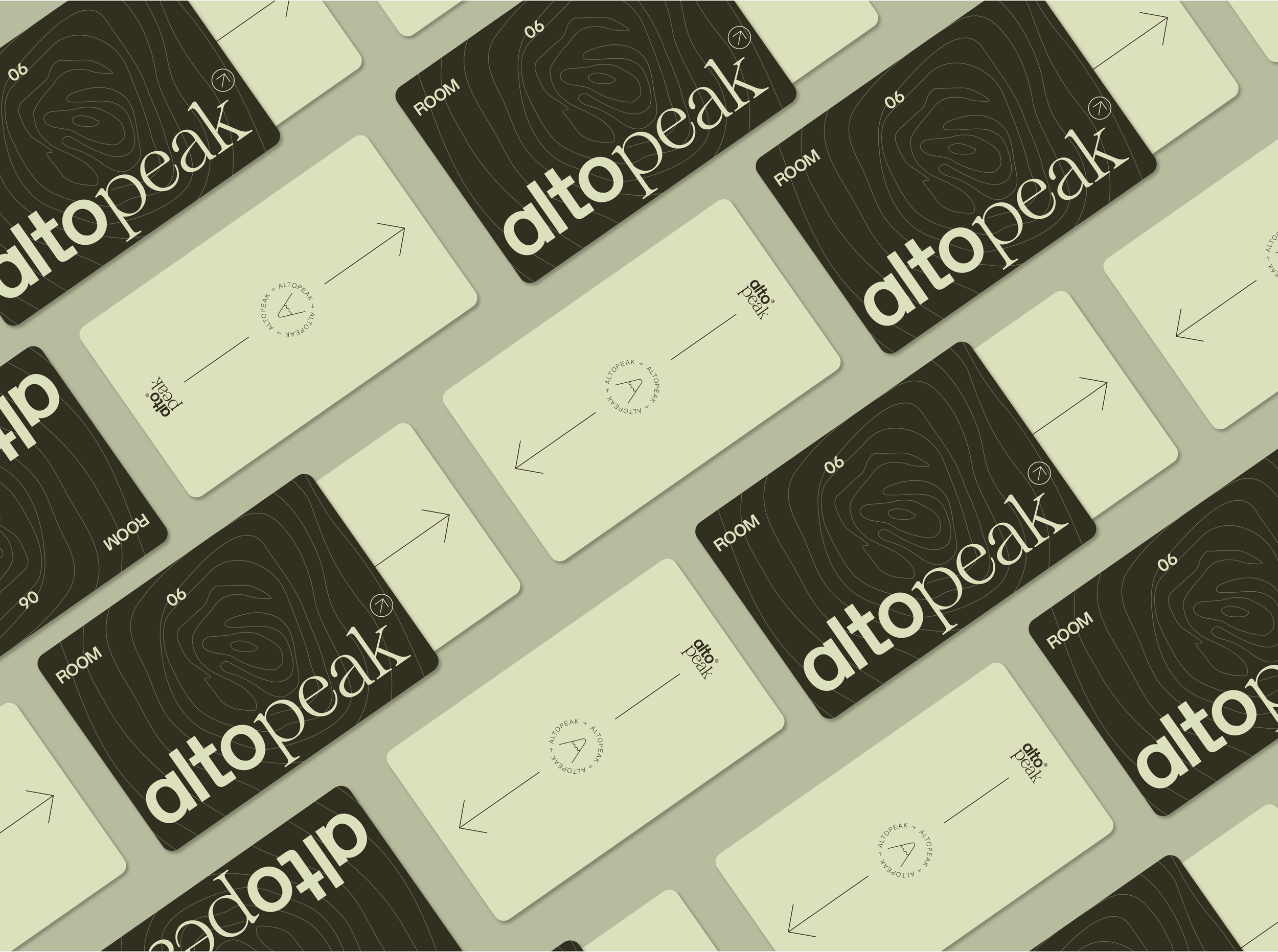 SQUARESPACE-ALTOPEAK_Artboard 1 copy 15.png