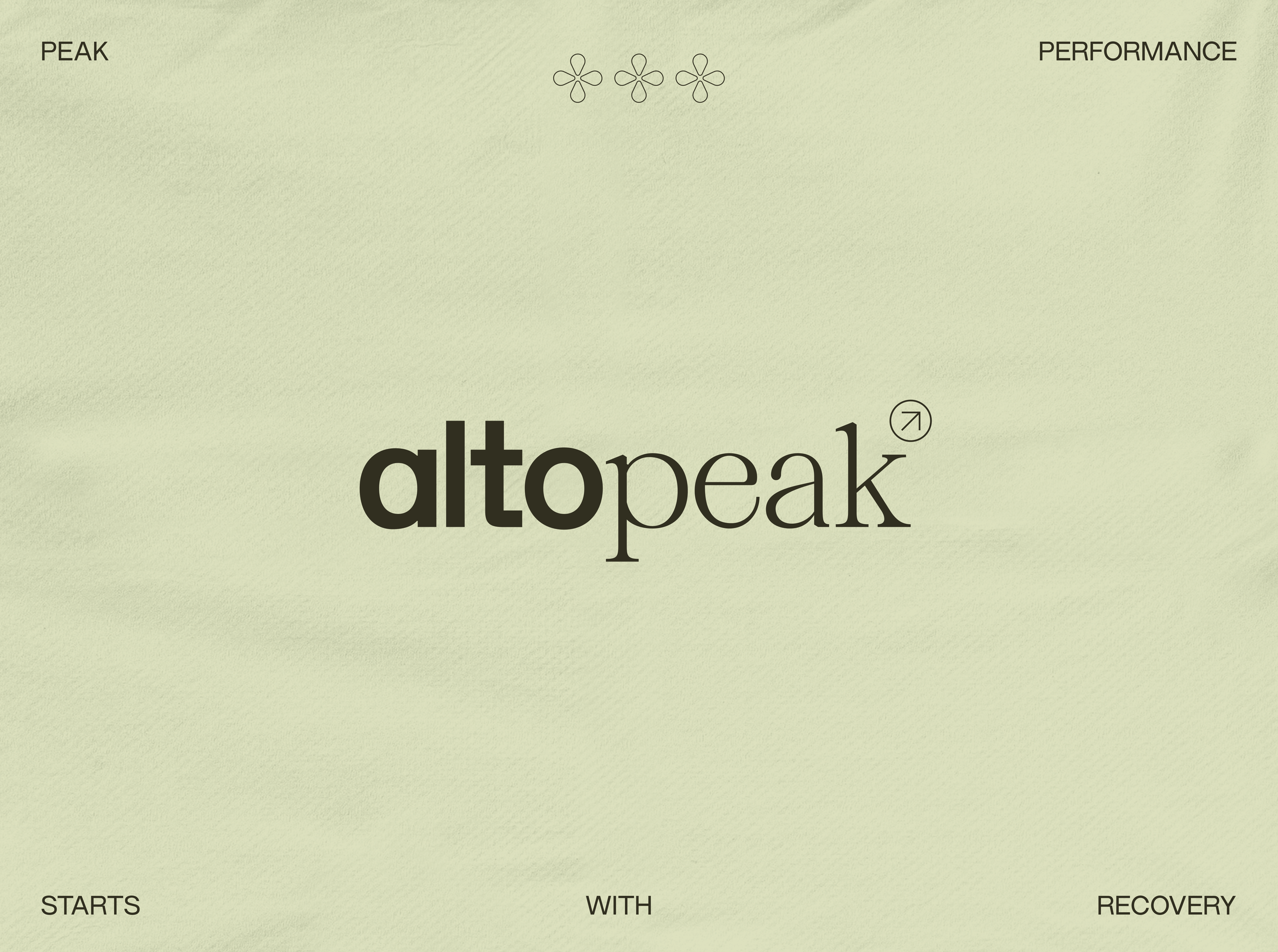 SQUARESPACE-ALTOPEAK_Artboard 1 copy 9.png
