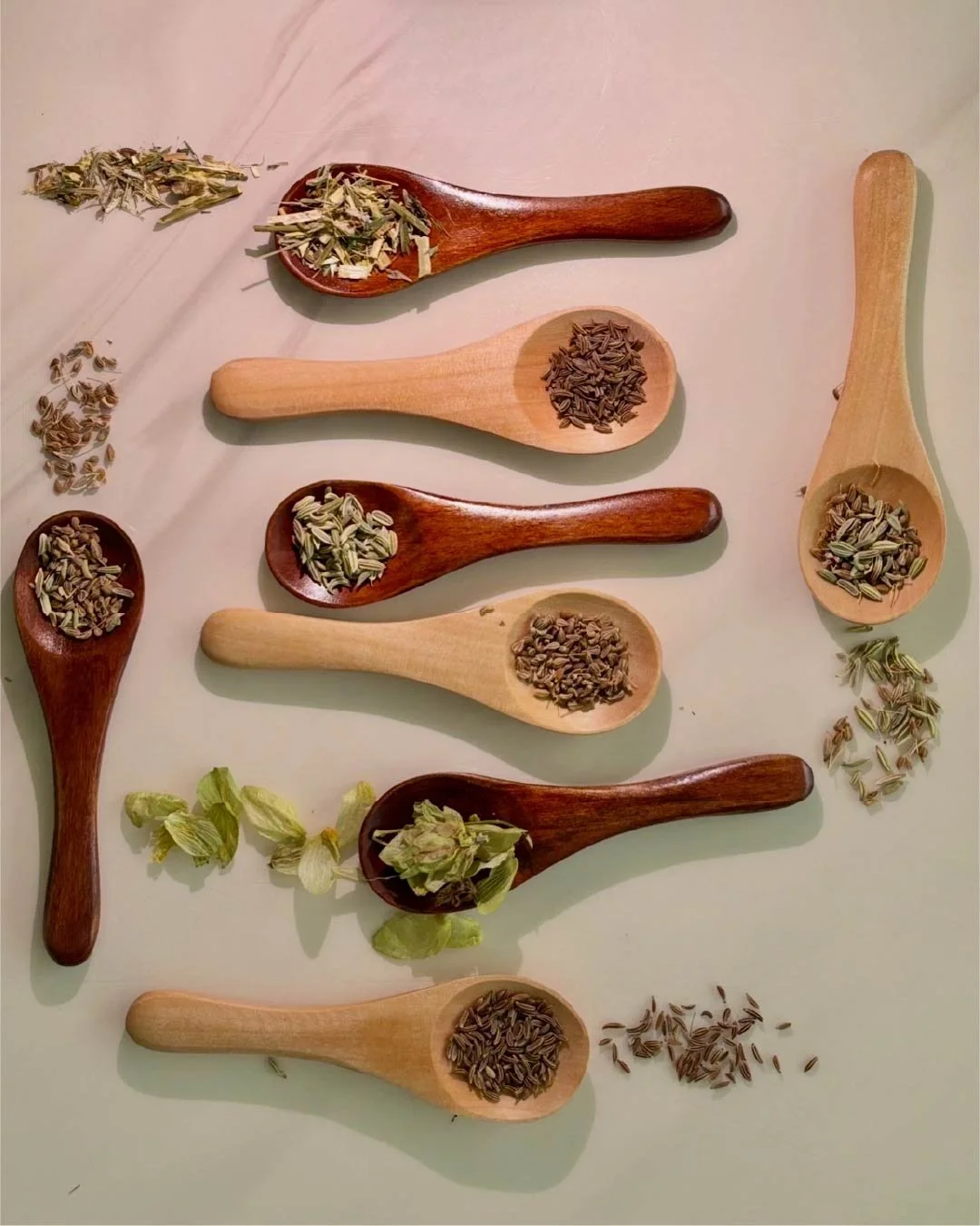 Différents types de graines et d'herbes aromatiques disposés dans des cuillères en bois, avec quelques morceaux dispersés à côté.