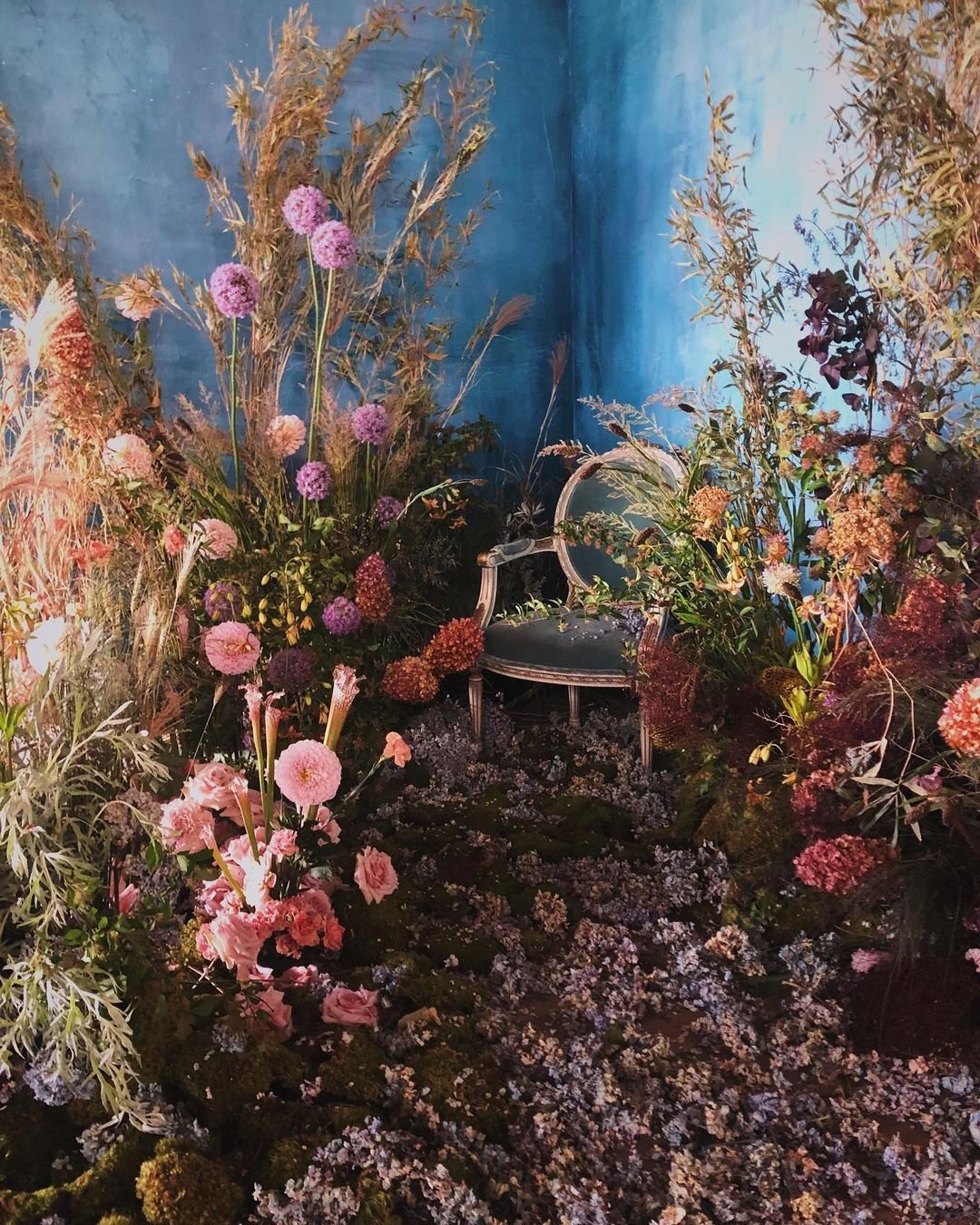 An ornate chair surrounded by densely arranged pink, purple, and reddish flowers and plant stems with a blue wall background.