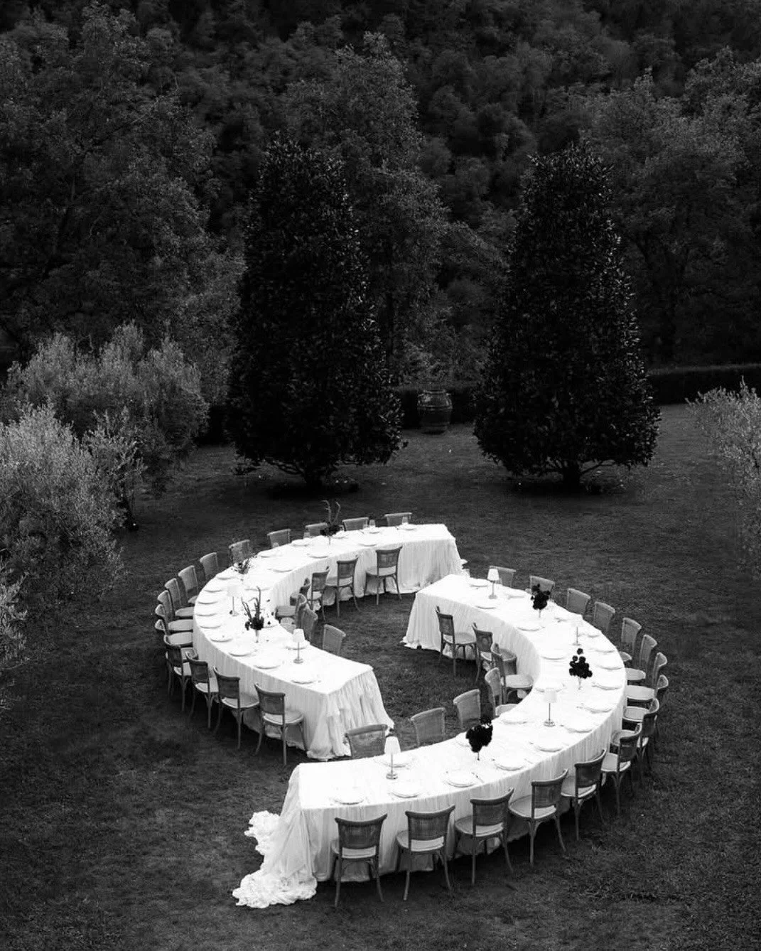Outdoor dining setup with a long, curved table covered with a white tablecloth, surrounded by chairs, set with glasses and small floral centerpieces, in a grassy area with two tall, dark trees and a backdrop of dense trees.