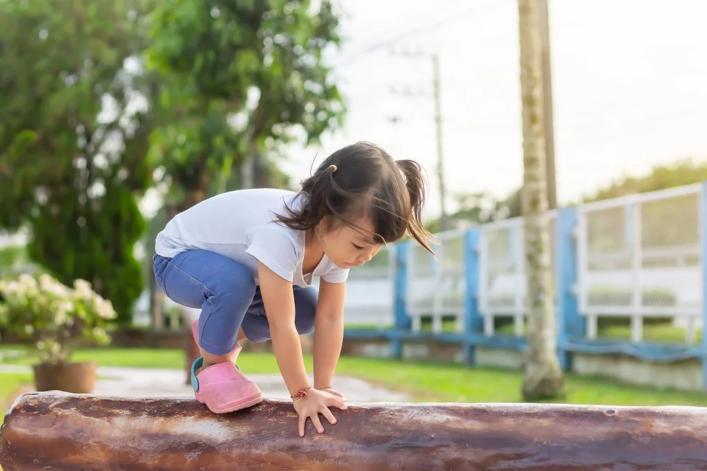 “Nature-Rich Play” — It’s More Than Just a Buzzphrase: The Child Care Provider’s Guide to Excellent Outdoor Spaces