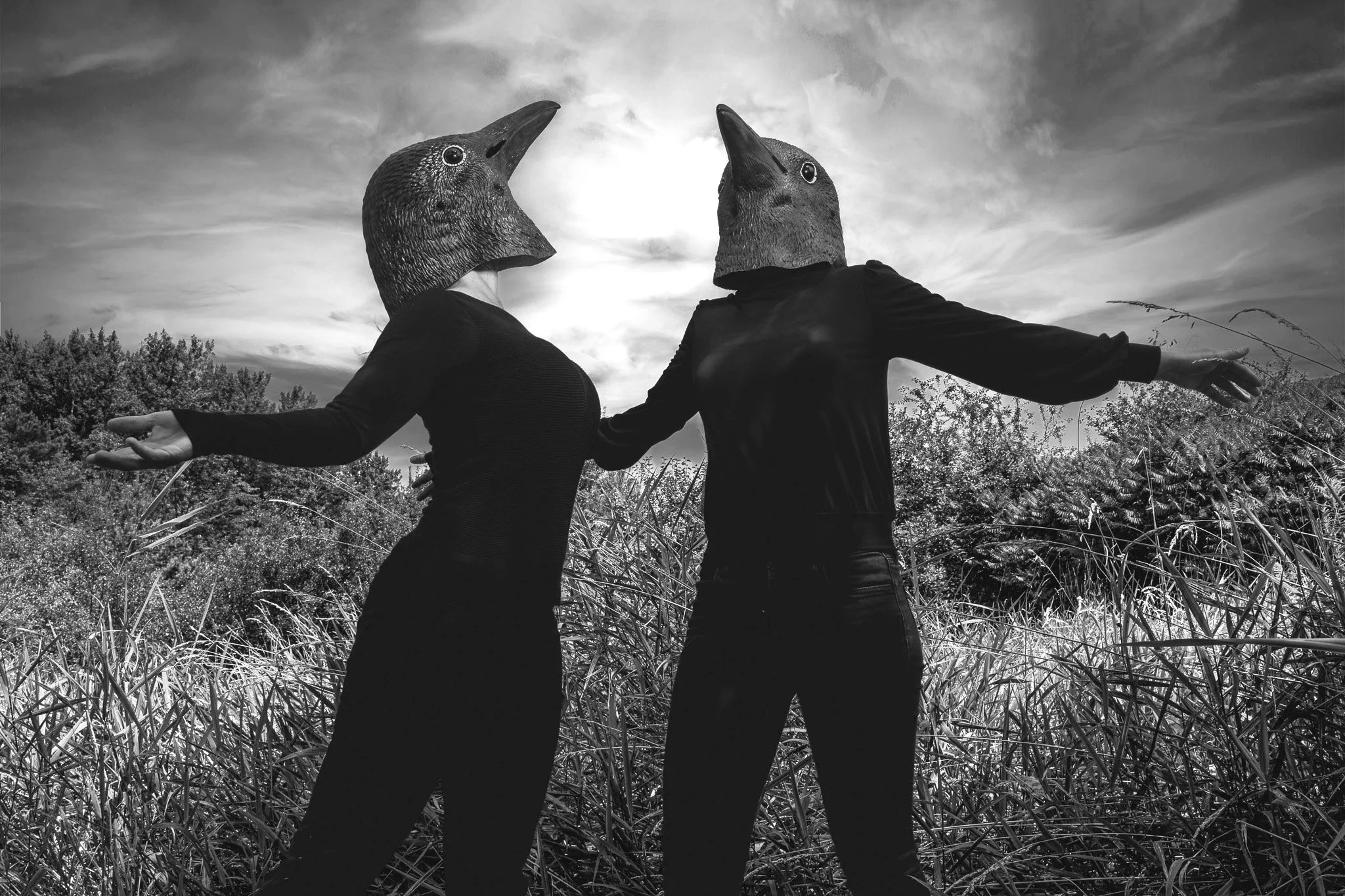 IPPERSIEL_S_CROWS (1130).jpg