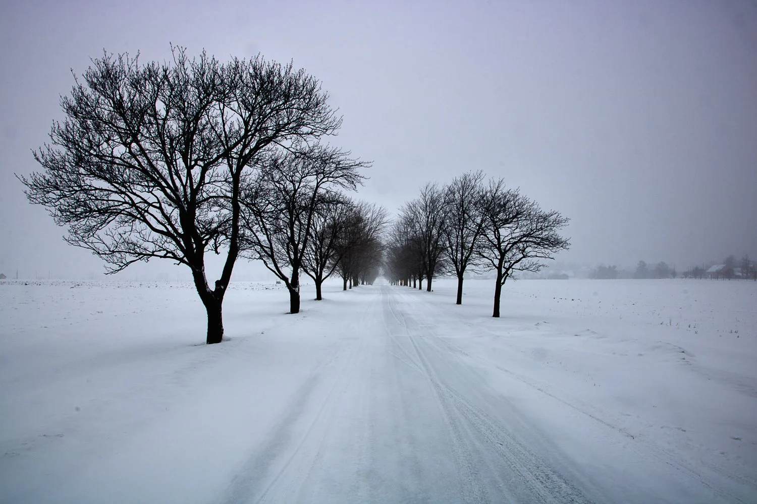 IMG_8270 (Ash Lane in Winter).jpg