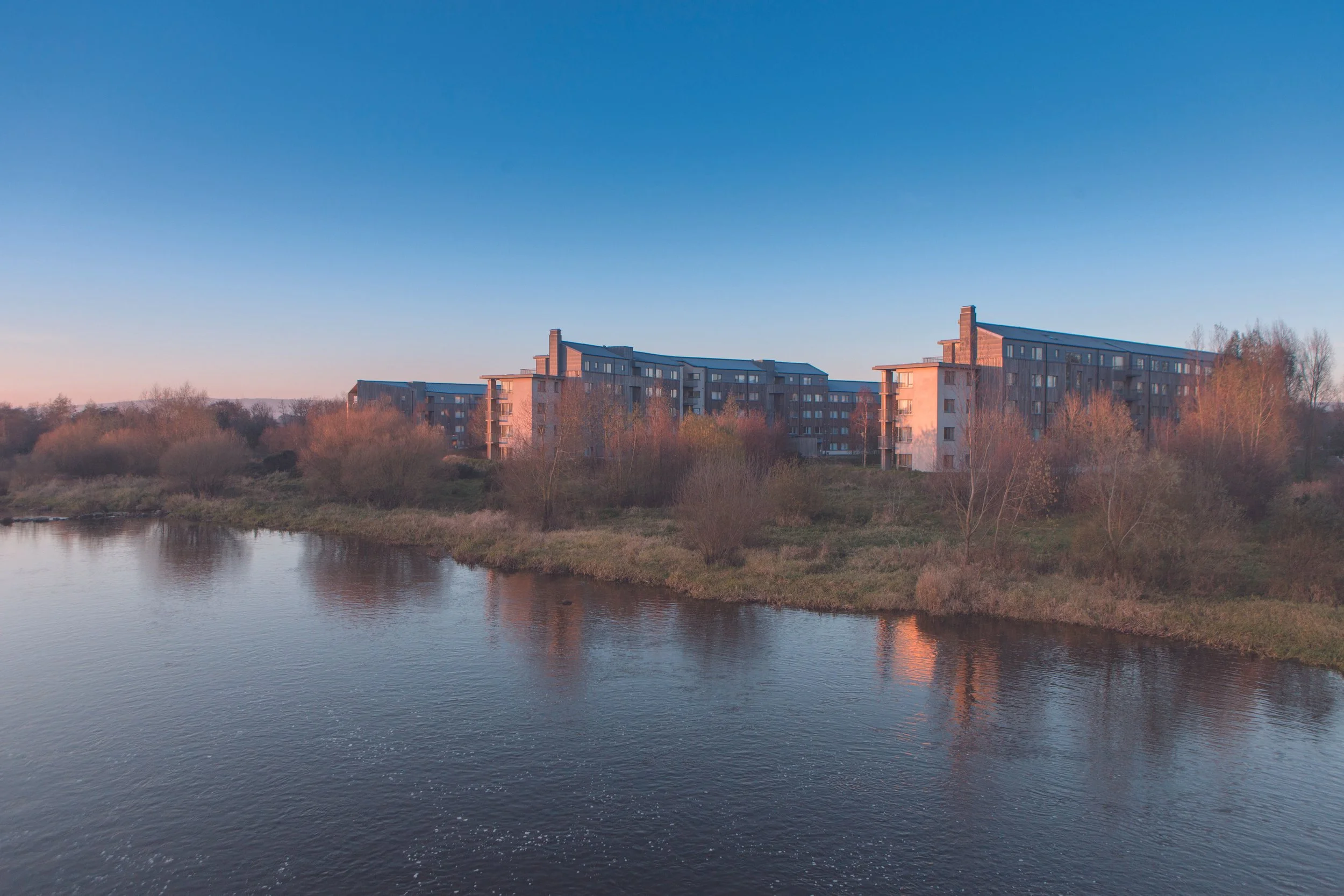 Apartment buildings behind trees and shrubs along a river at sunset.