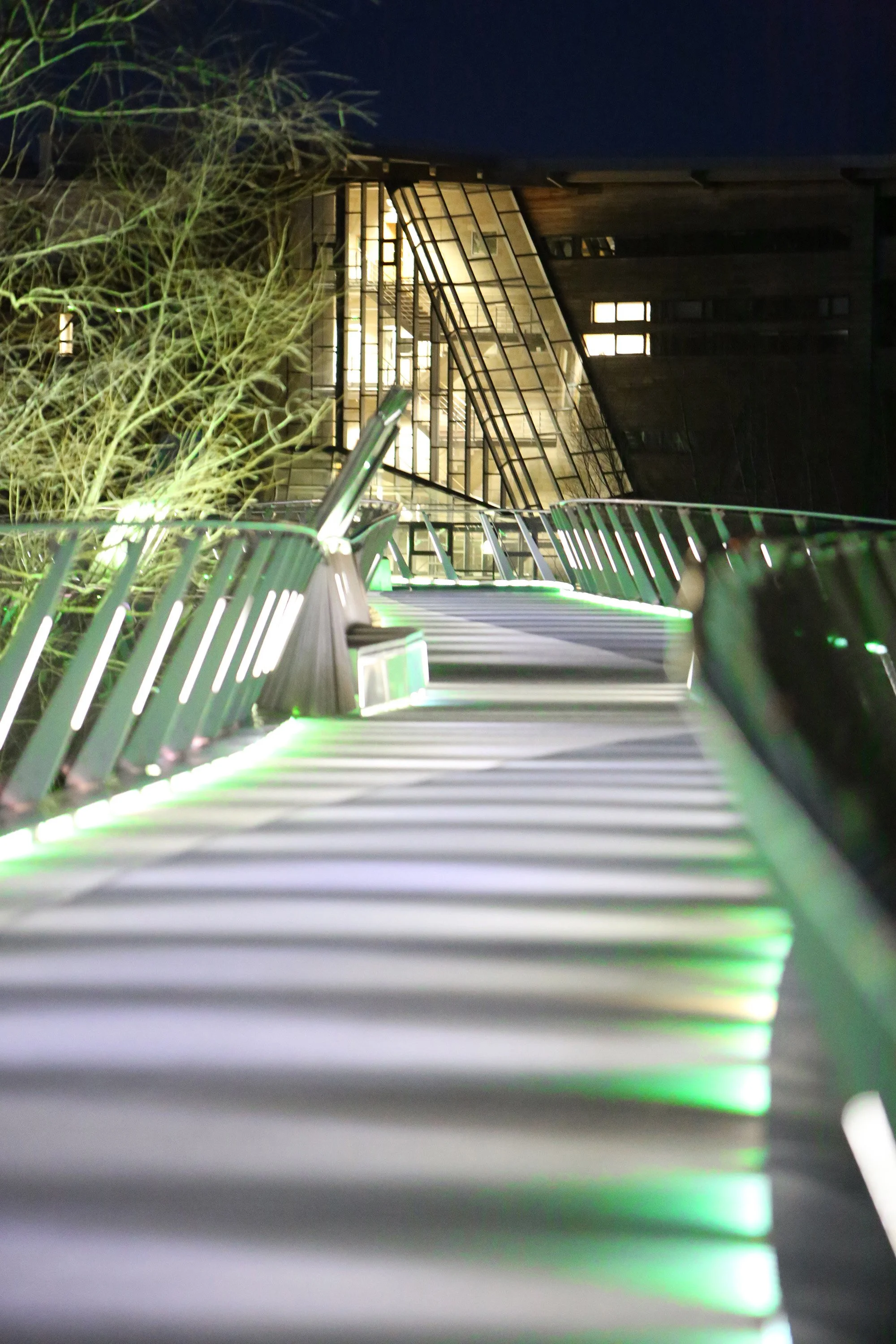 Nighttime view of a lit walkway with glass buildings in the background, and trees on the left side.
