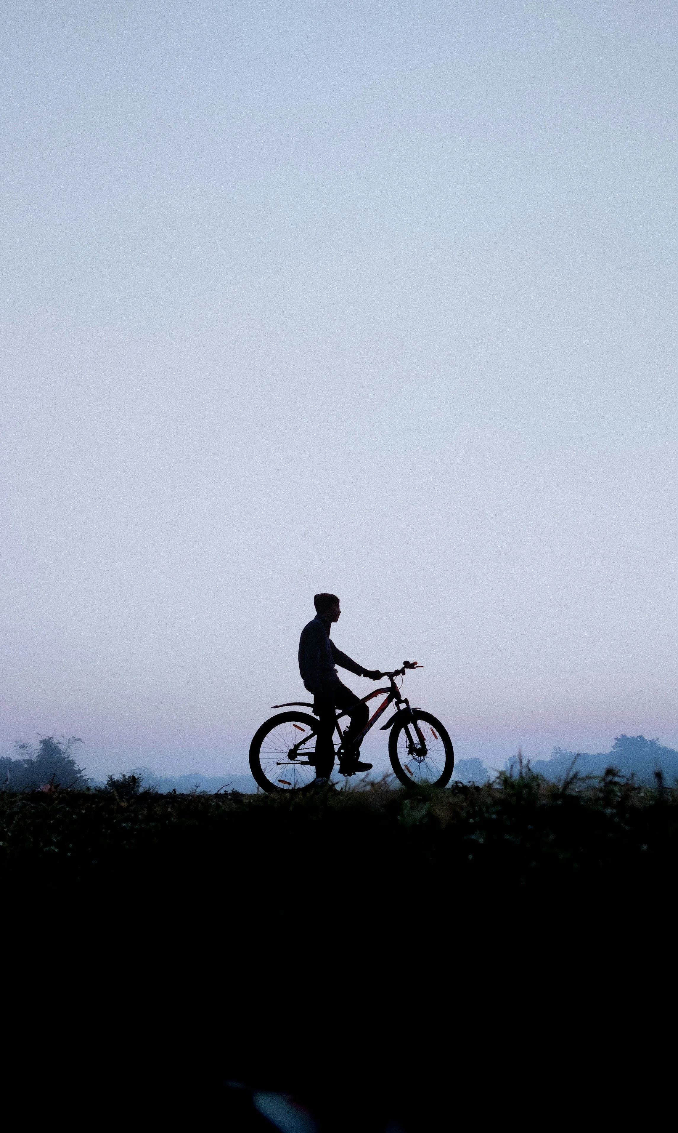 Silhouette of a person standing with a bicycle against a twilight sky, with trees in the background.