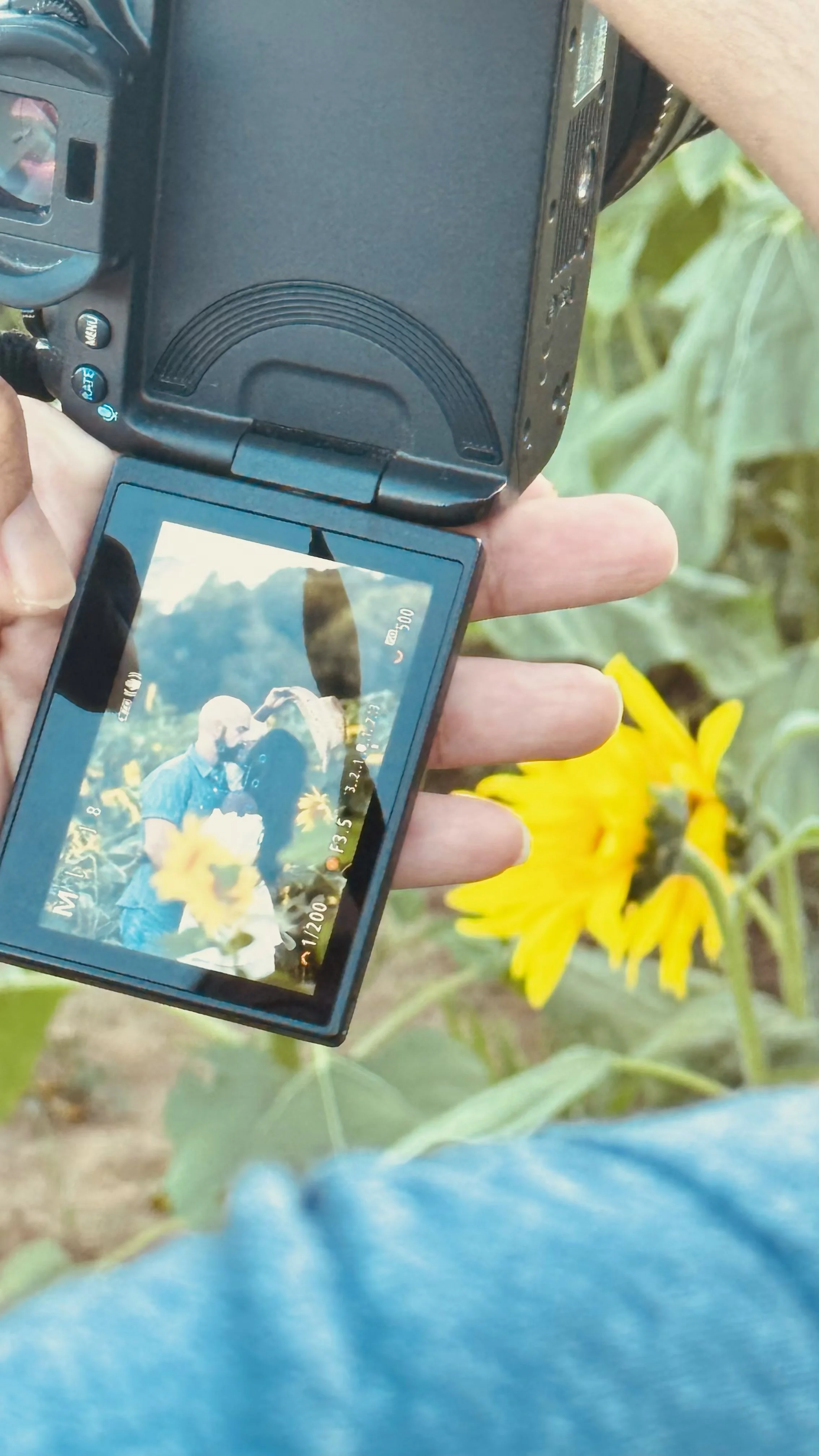 A person takes a photo of a man and woman with a sunflower in the foreground using a camera, outdoors among sunflowers.