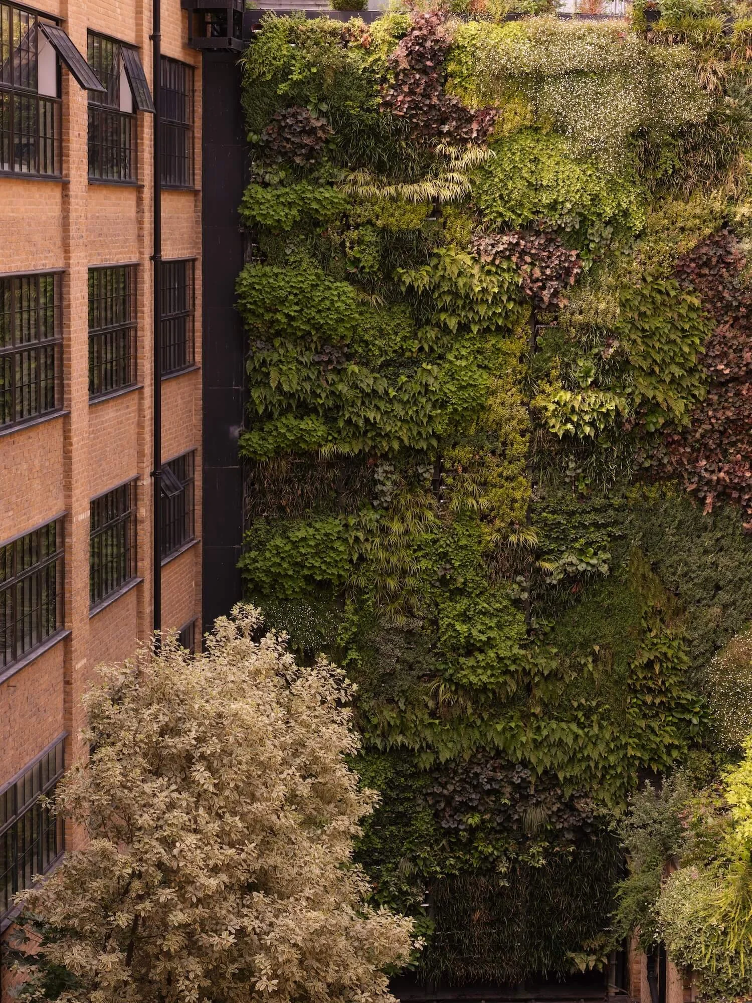 HH Real Estate Project Case Study Cloisters 196 Old Street London