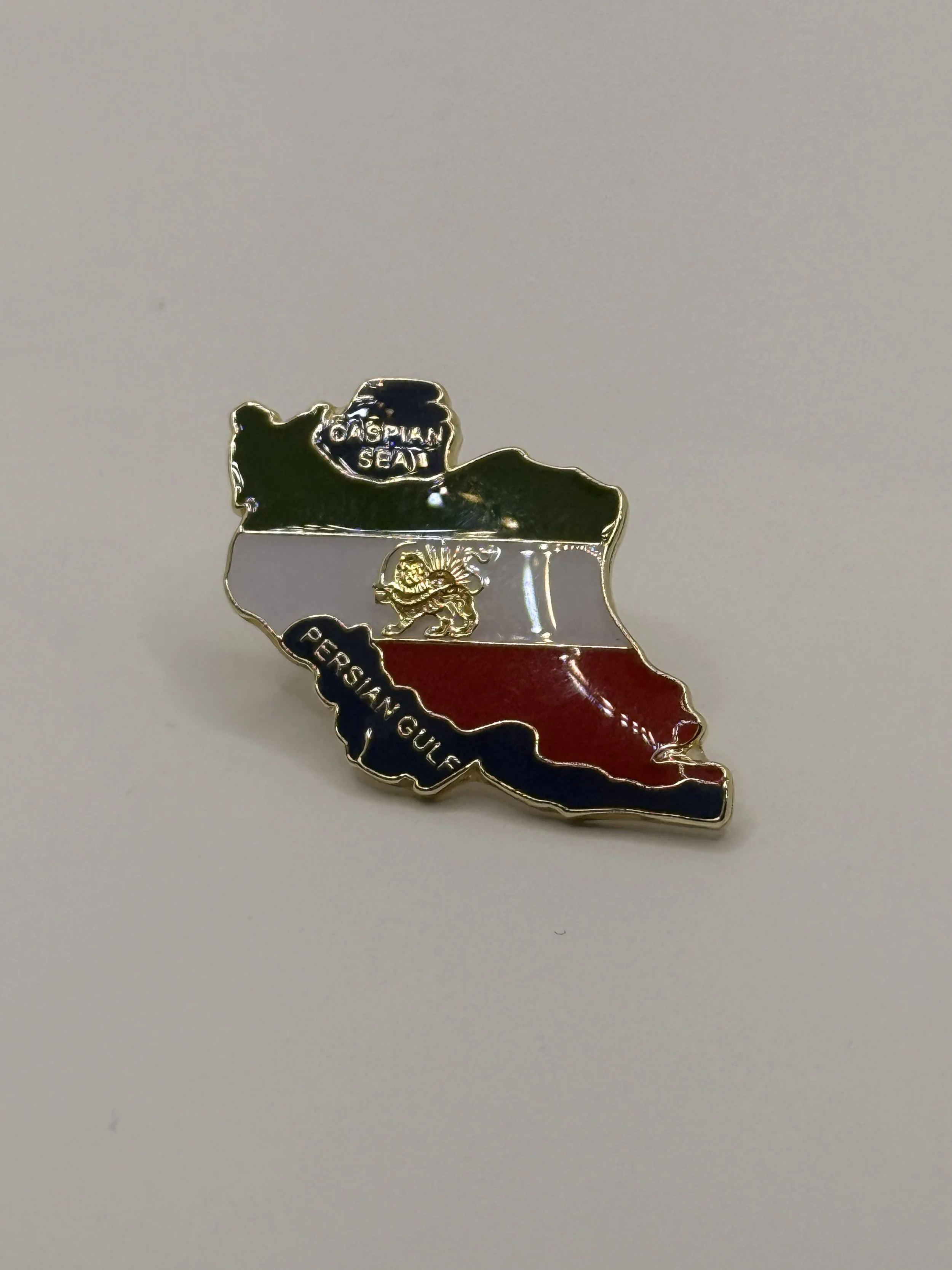 Map Lapel Pin
