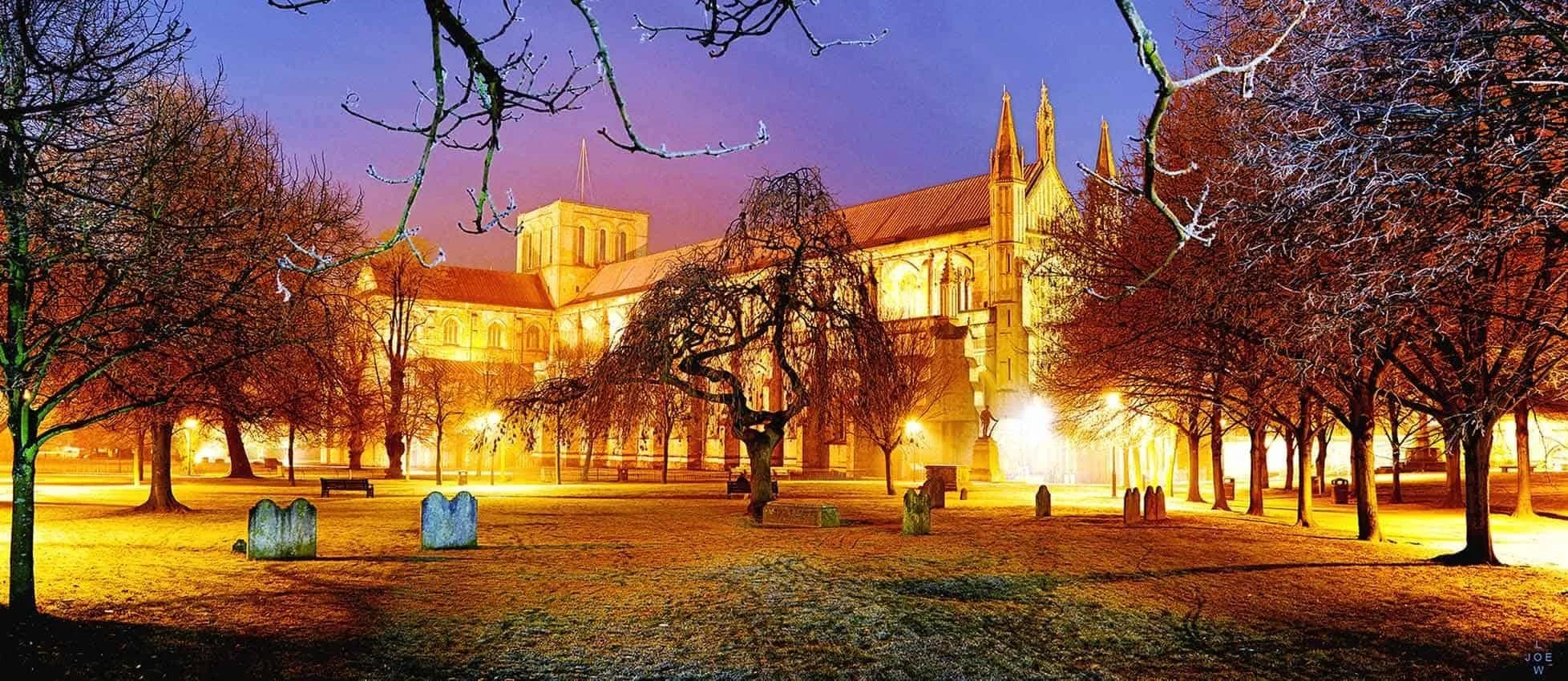 Night view of a lit-up historic church building with gothic architecture, surrounded by leafless trees, some with snow, and illuminated by streetlights in a park-like setting.