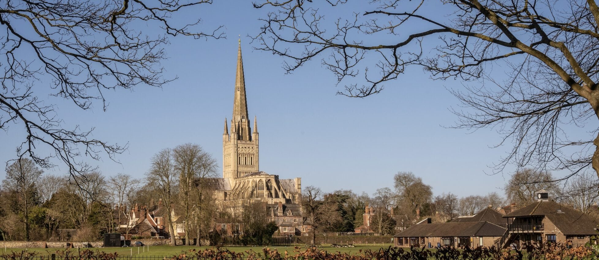 View of a Gothic-style church with a tall spire, surrounded by trees and residential houses under a clear blue sky.