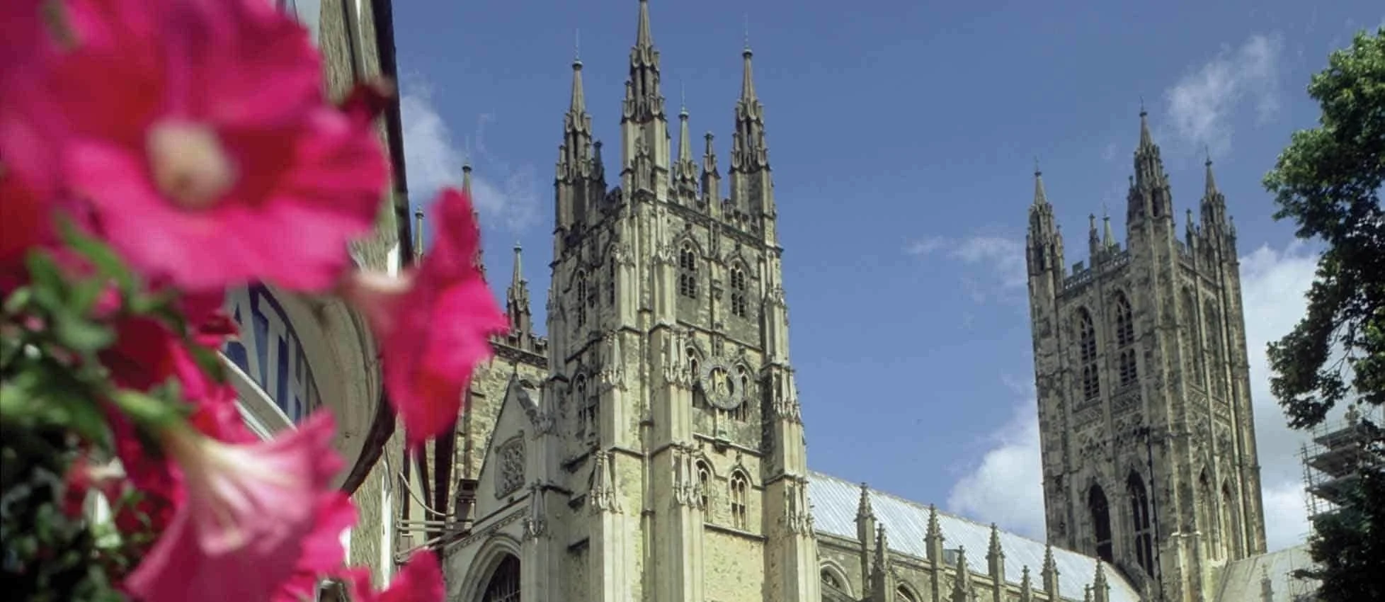 View of a Gothic cathedral with two tall spires, partially obscured by pink flowers in the foreground, and a partly cloudy blue sky in the background.