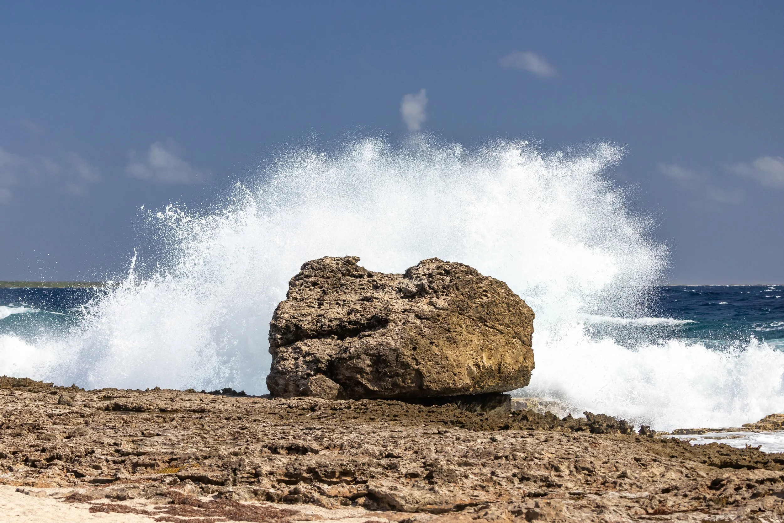 Bonaire Memory15.jpg
