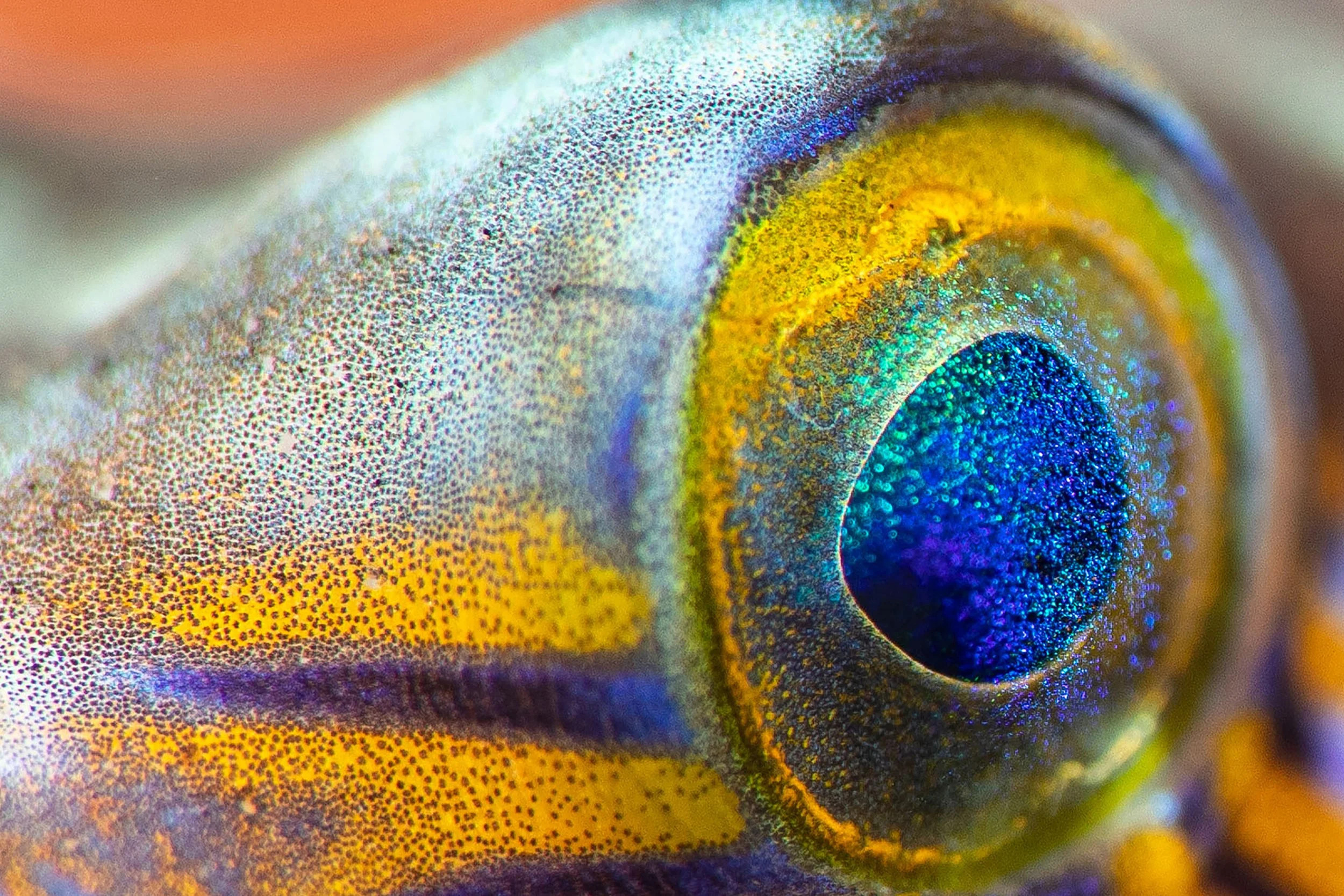 Underwater17.jpg