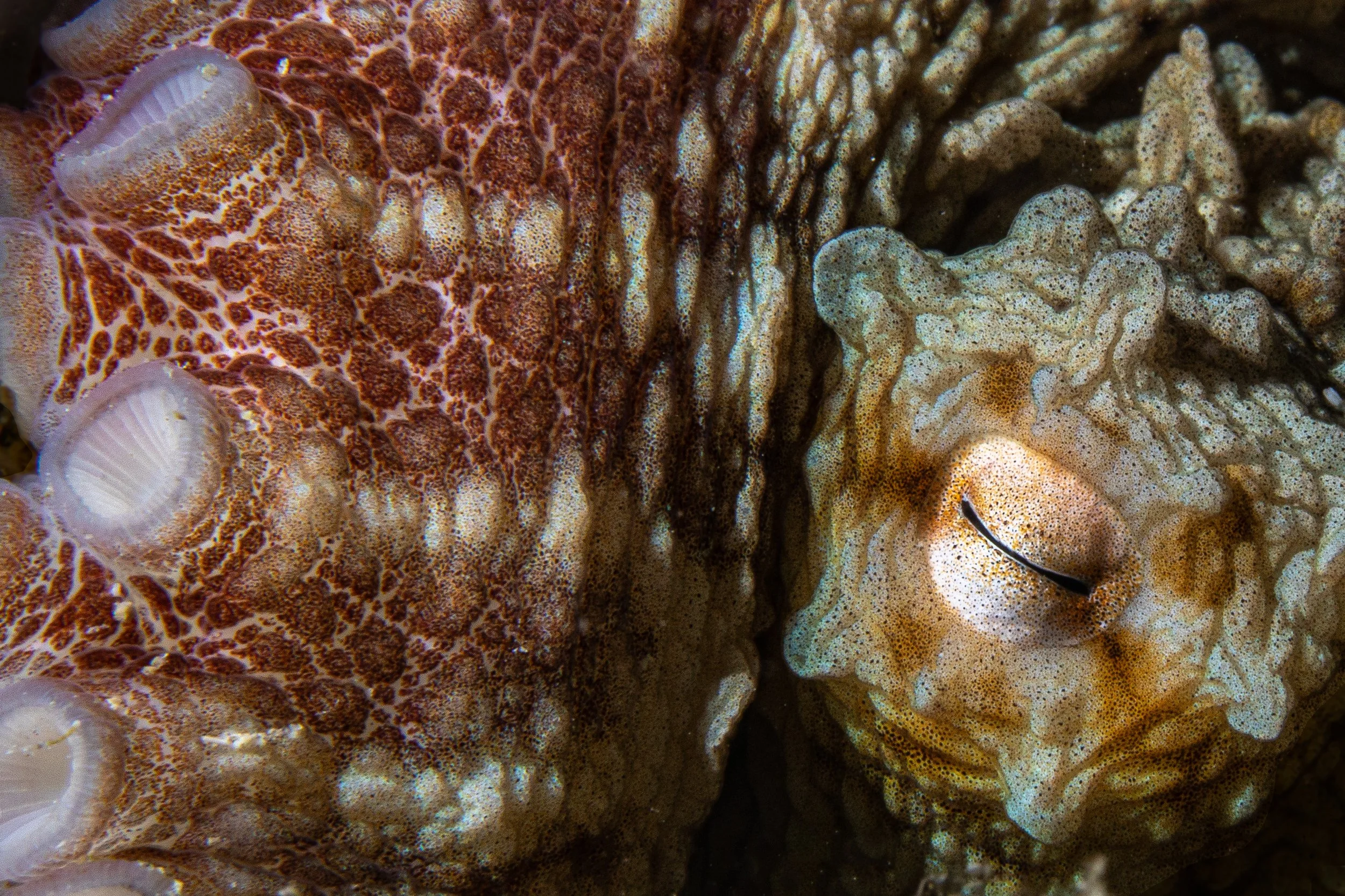 Underwater15.jpg
