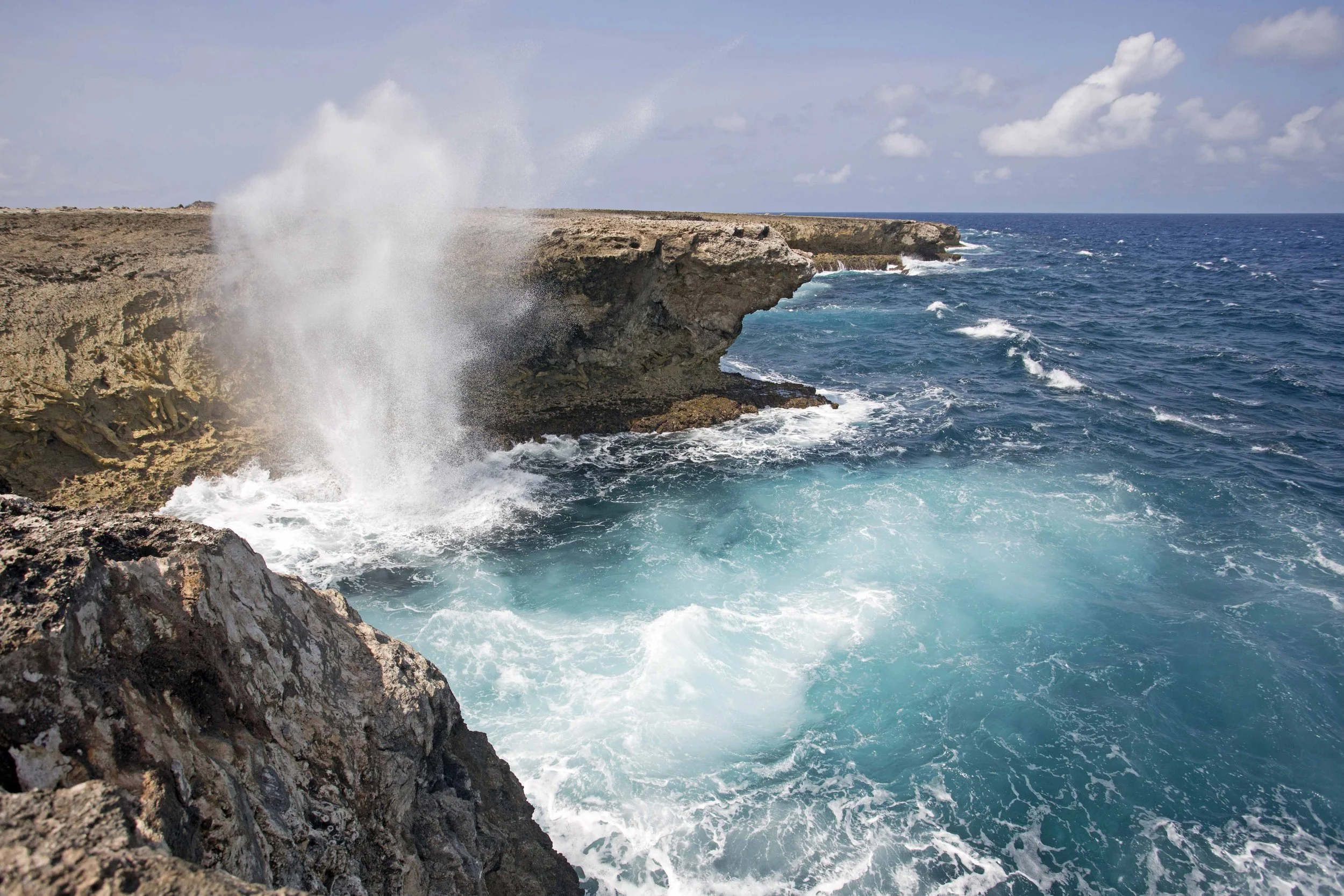 Bonaire Memory4.jpg