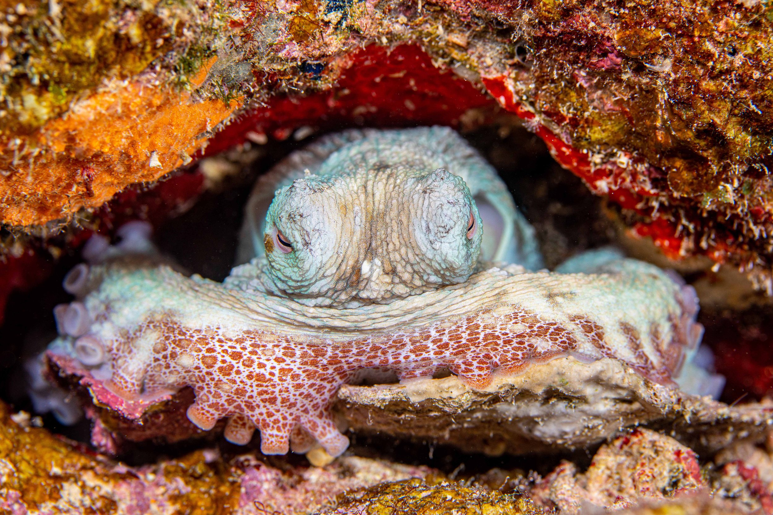 Underwater14.jpg