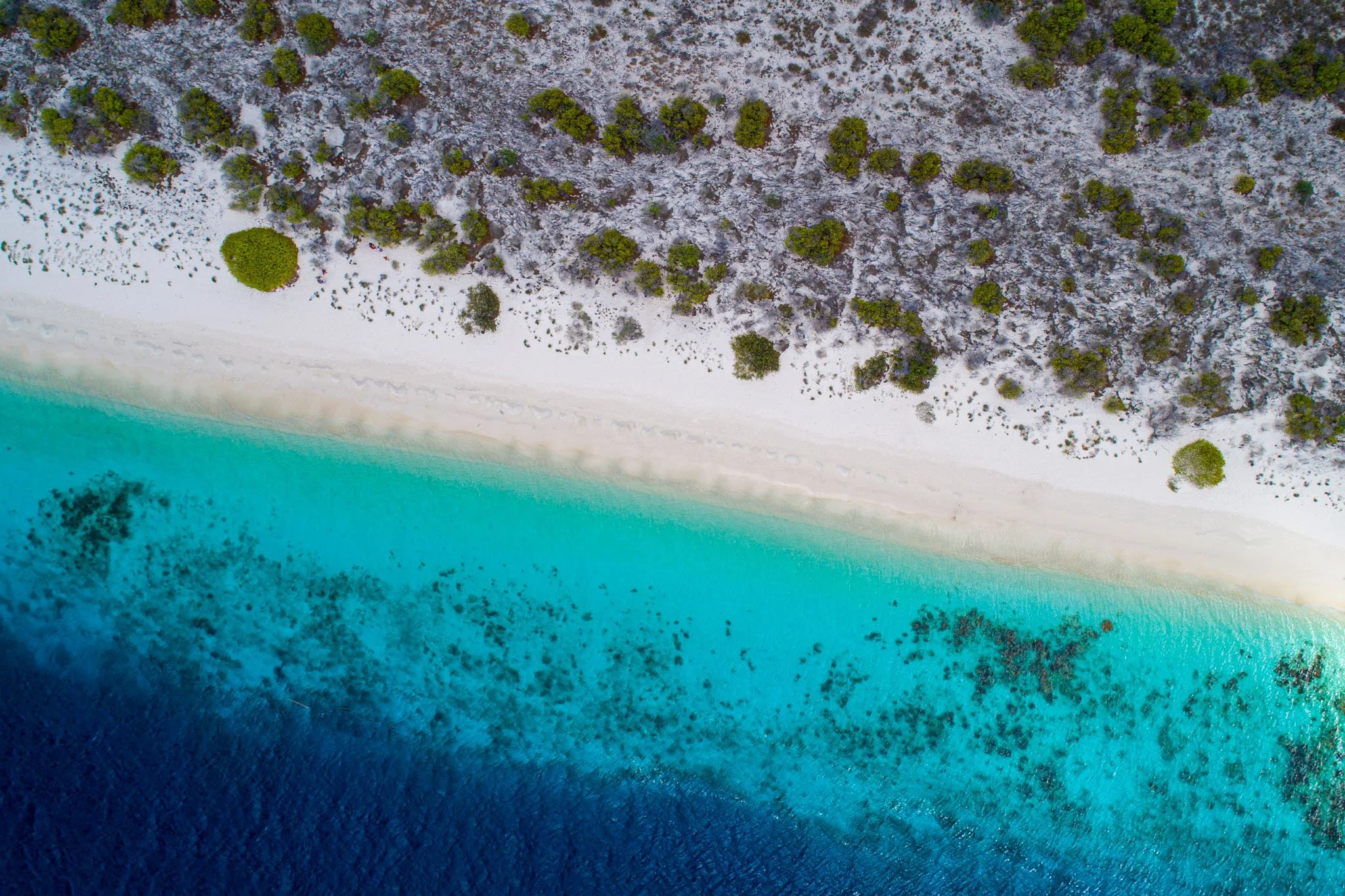 Klein Bonaire beach