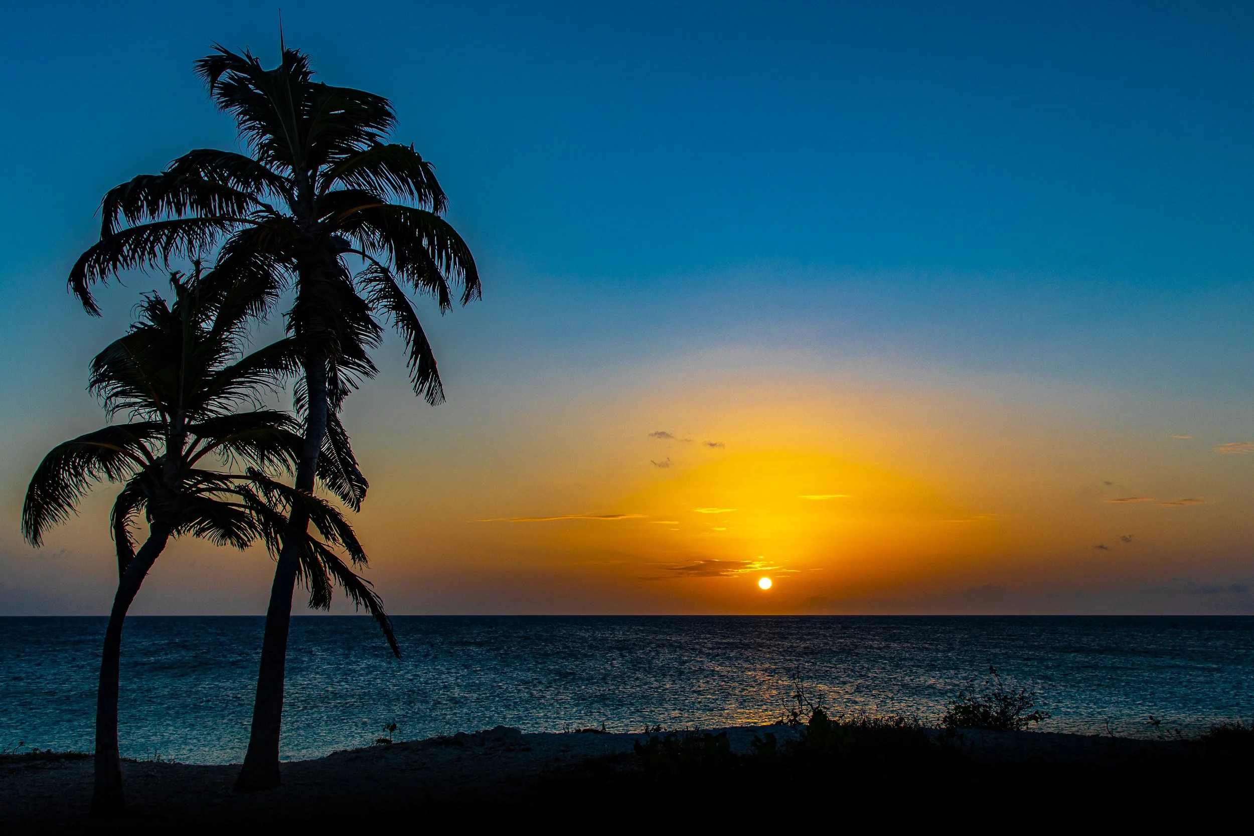 Bonaire Memory19.jpg