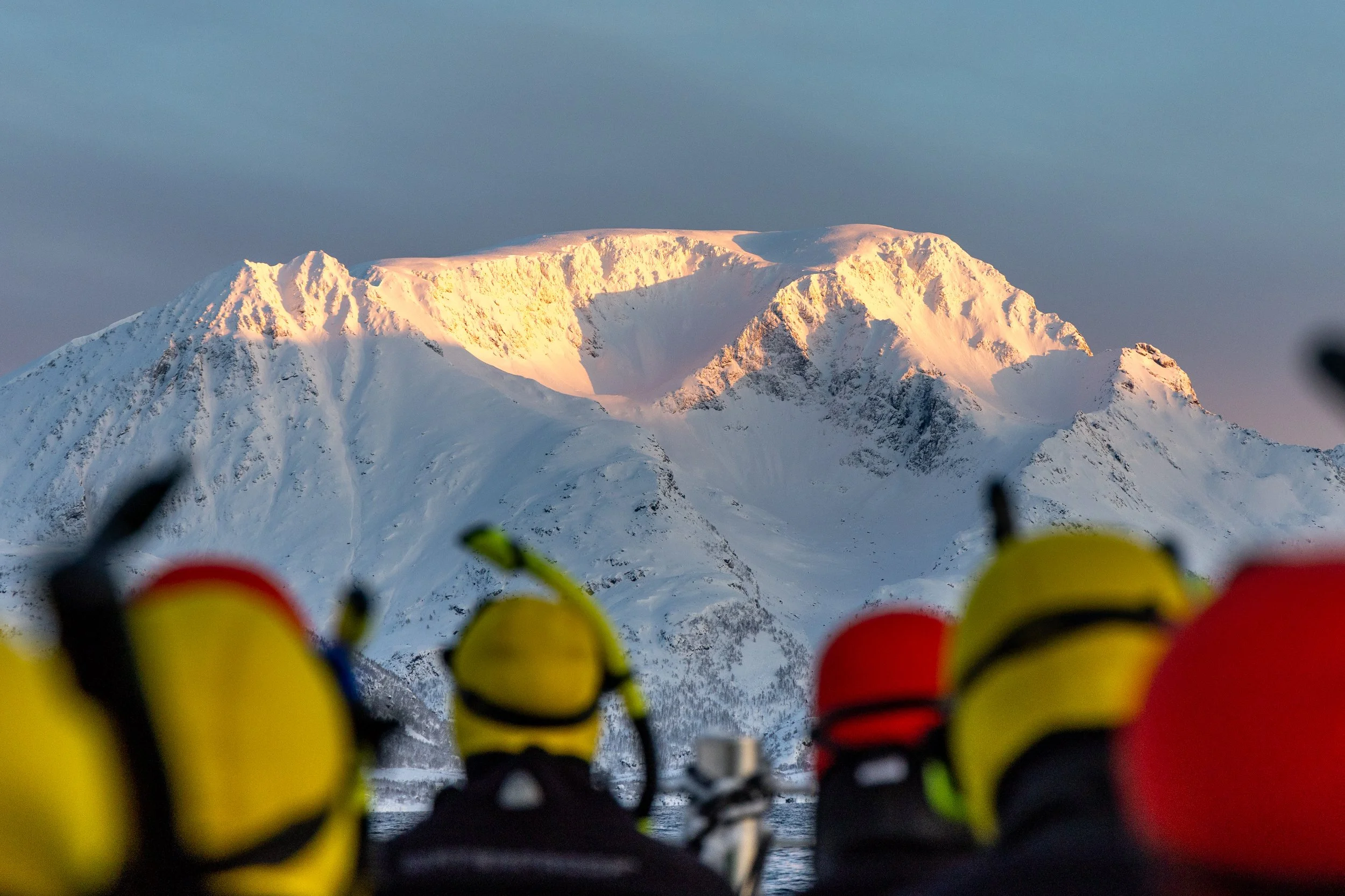 Arctic Experience
