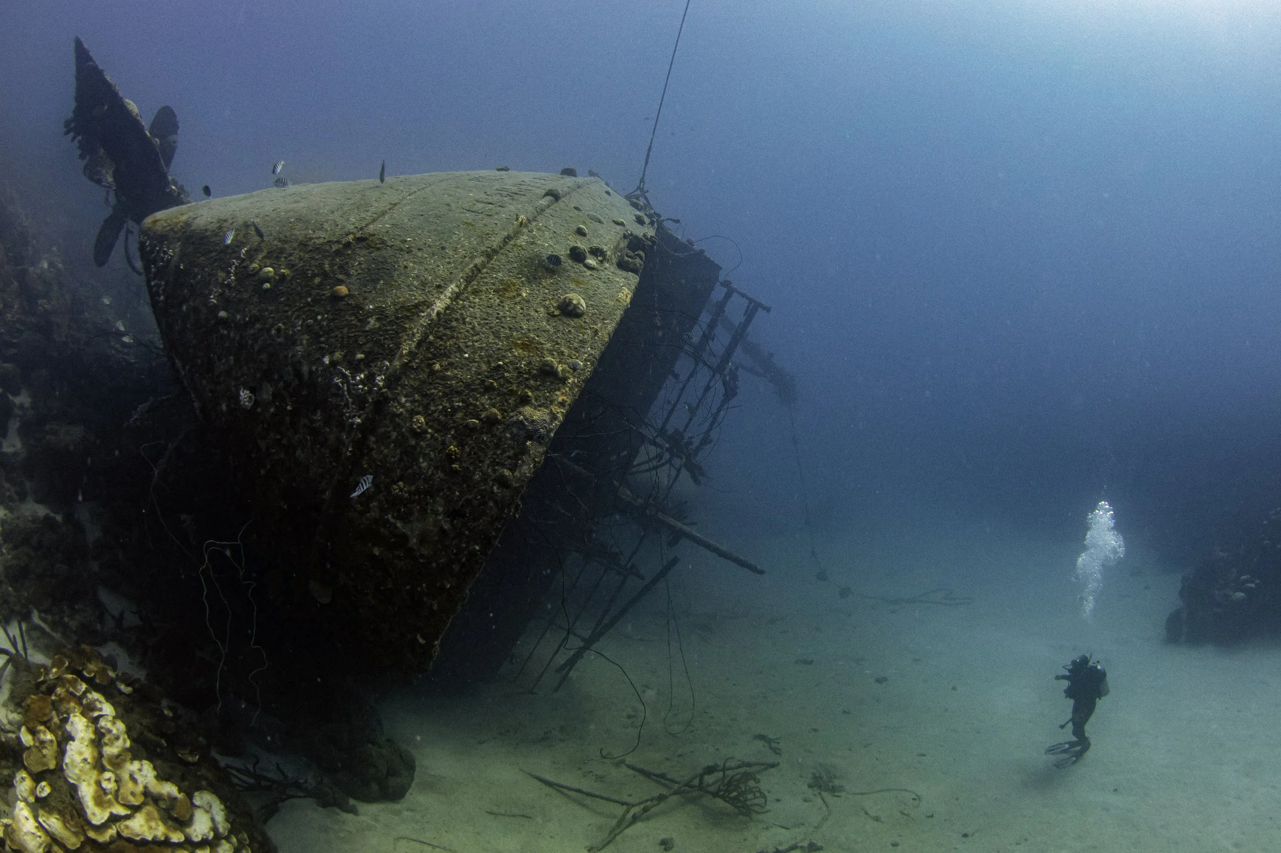 Hilma Hooker divesite, Bonaire