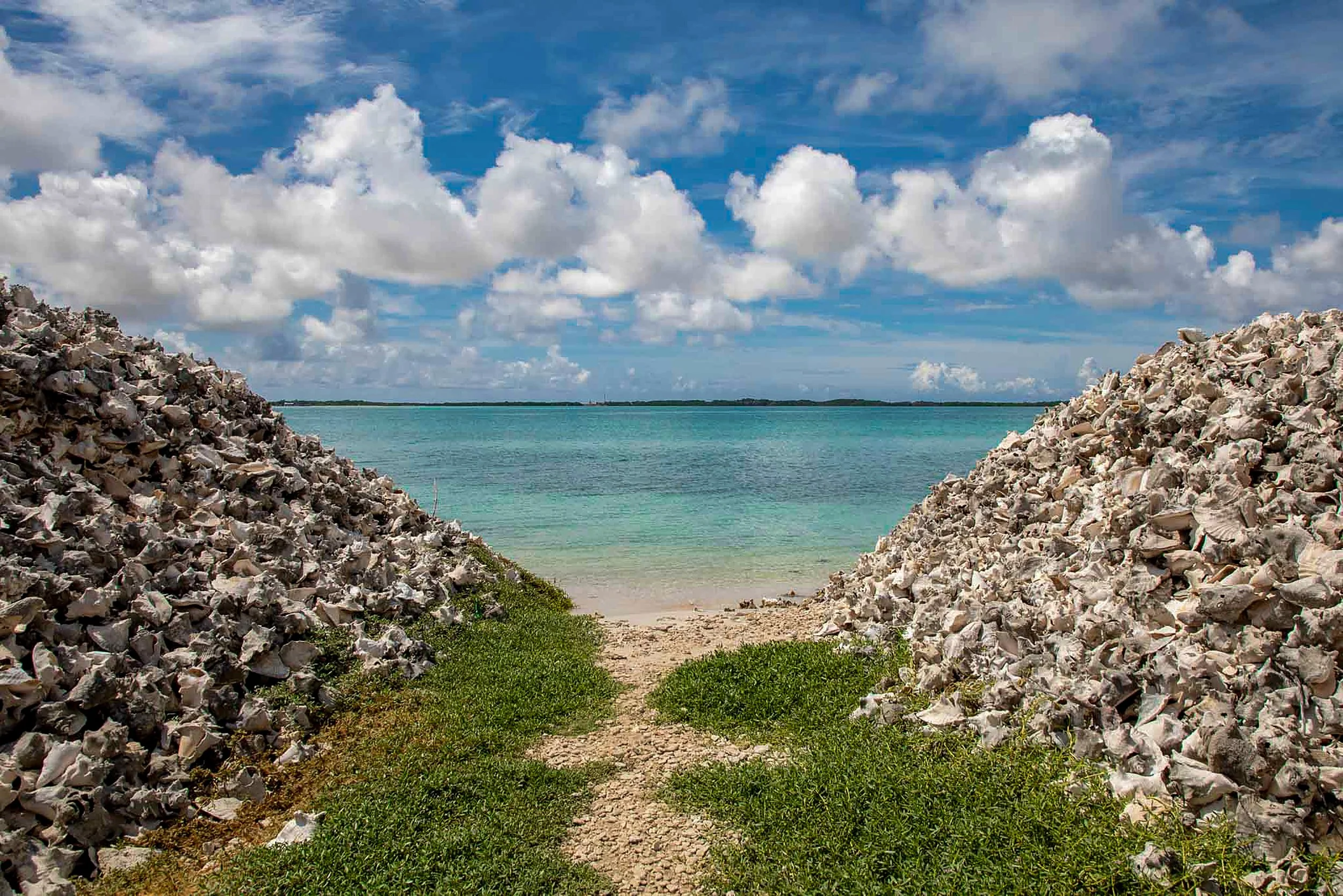 Bonaire Memory1.jpg