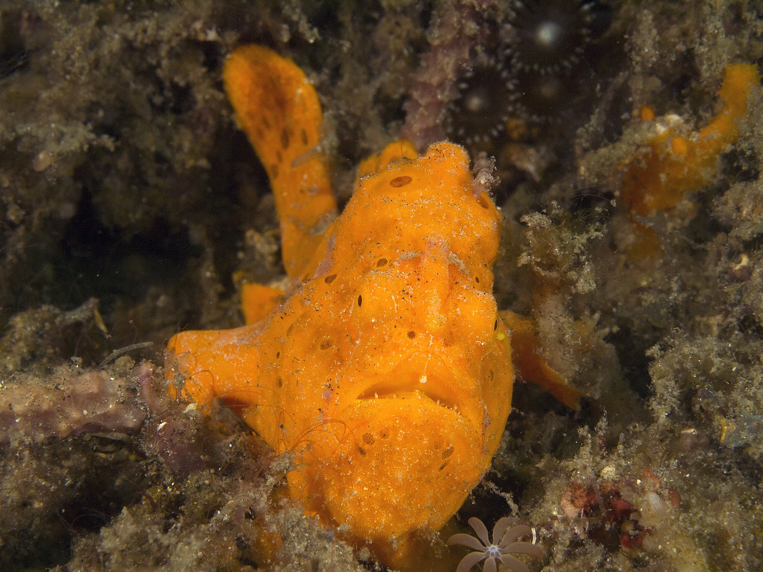Underwater19.jpg