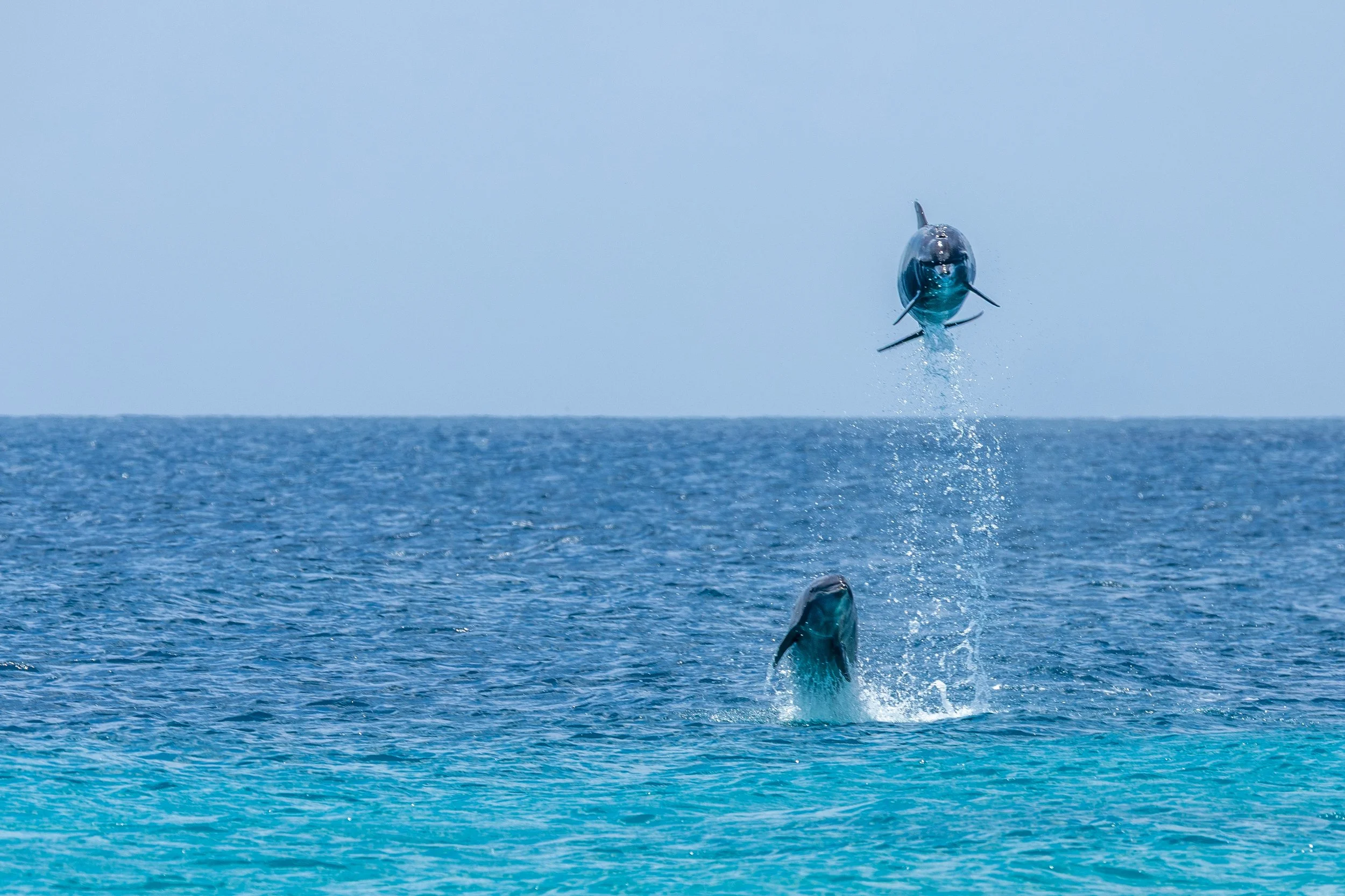 Underwater11.jpg