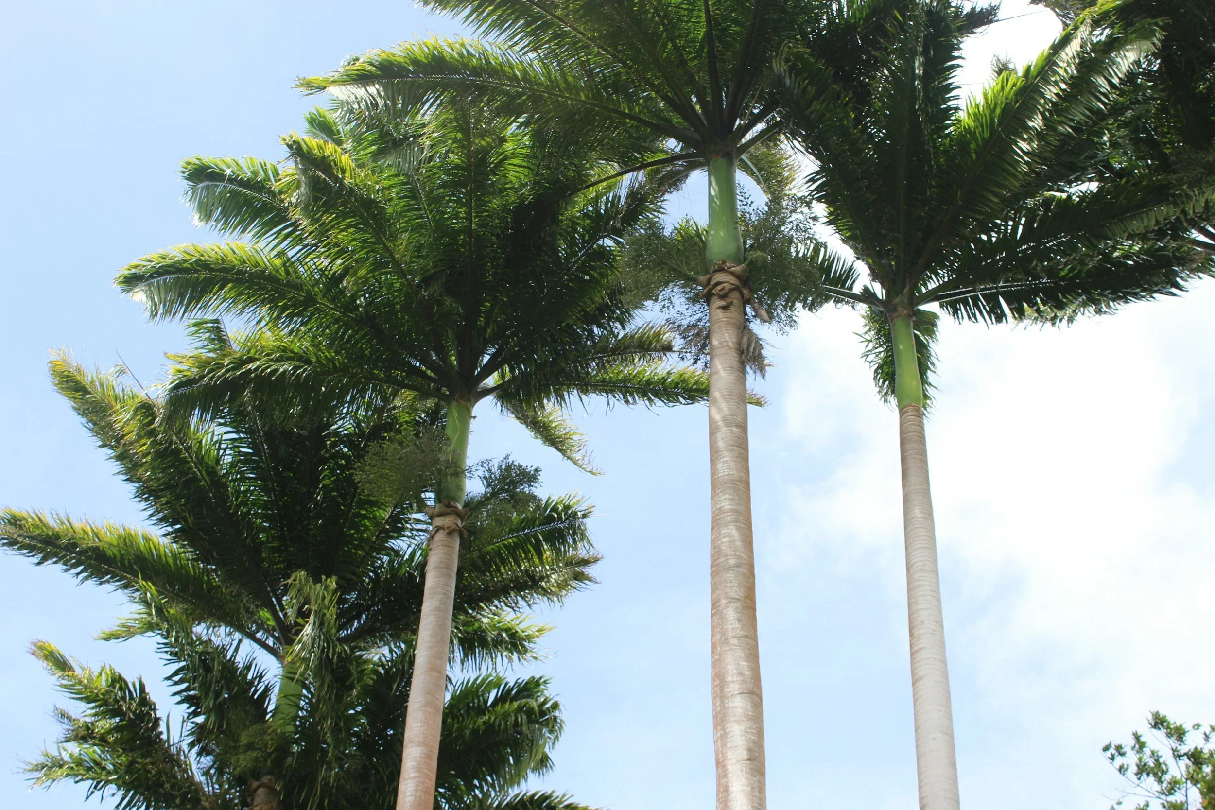 What’s Changing With Solar in Central Florida (And Why Waiting Could Cost You)