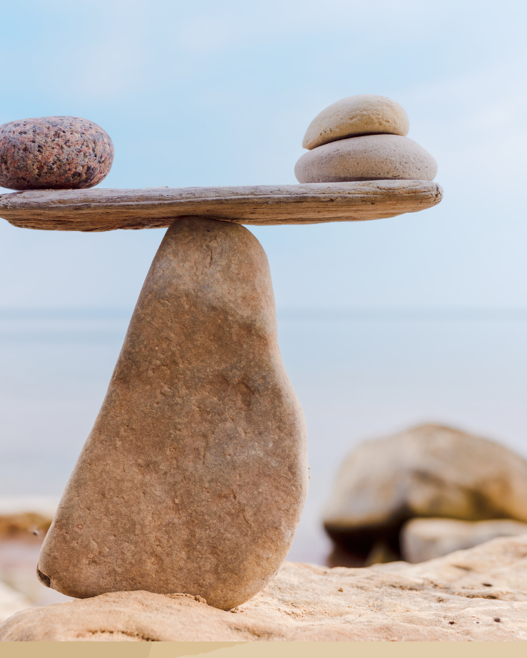 Nutrition Foundations Package - 6 weeks