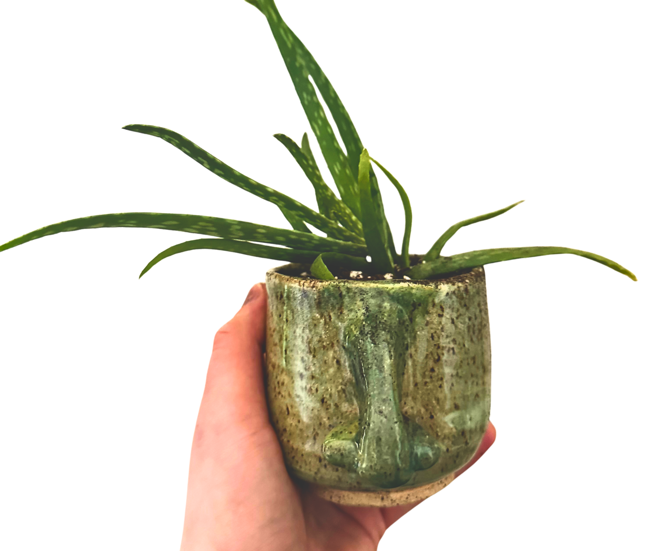 Spring Fling @ Black Hound Clay West