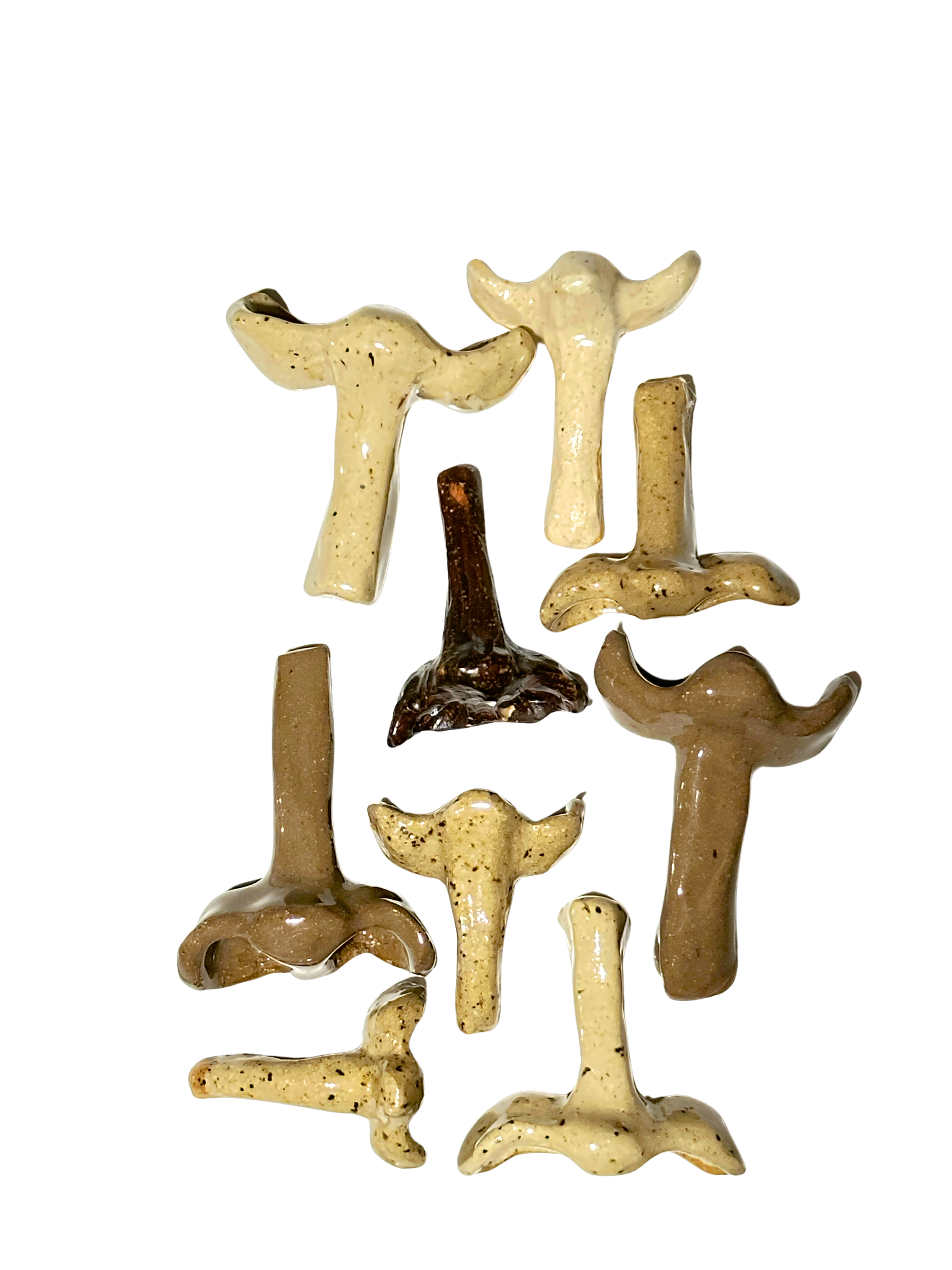 Untitled design-19.png