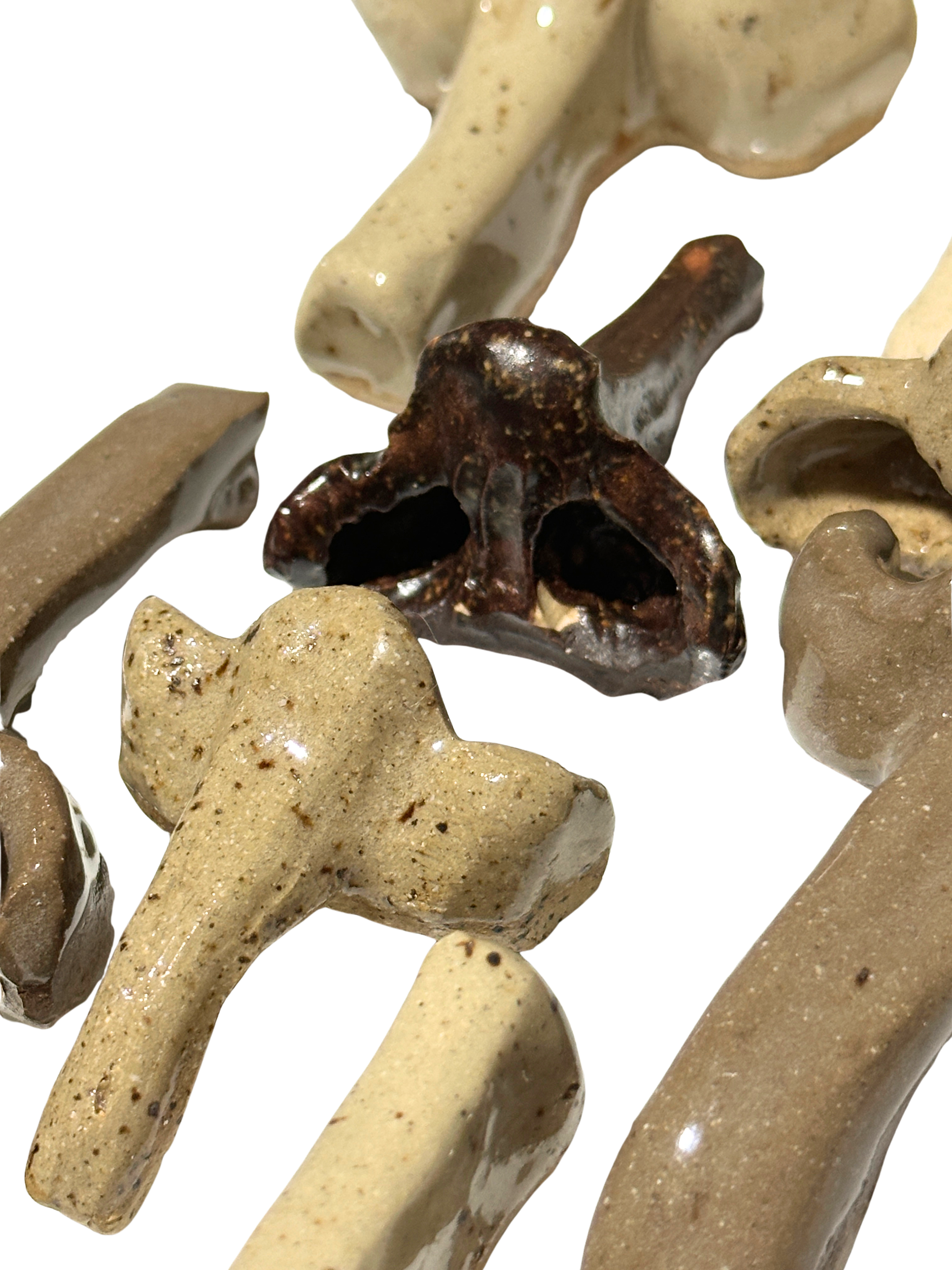 Untitled design-17.png