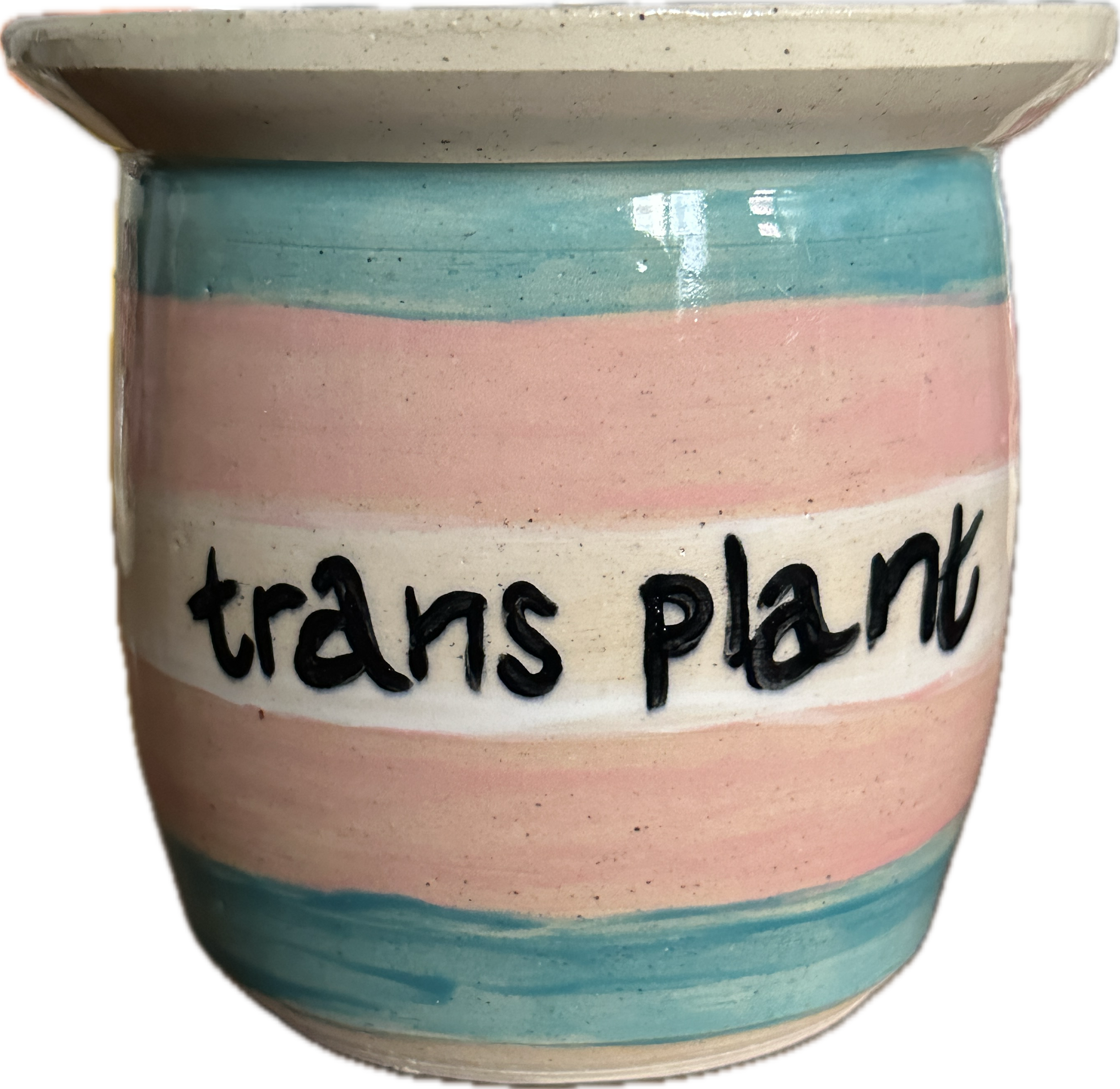 trans flag planter "trans plant"