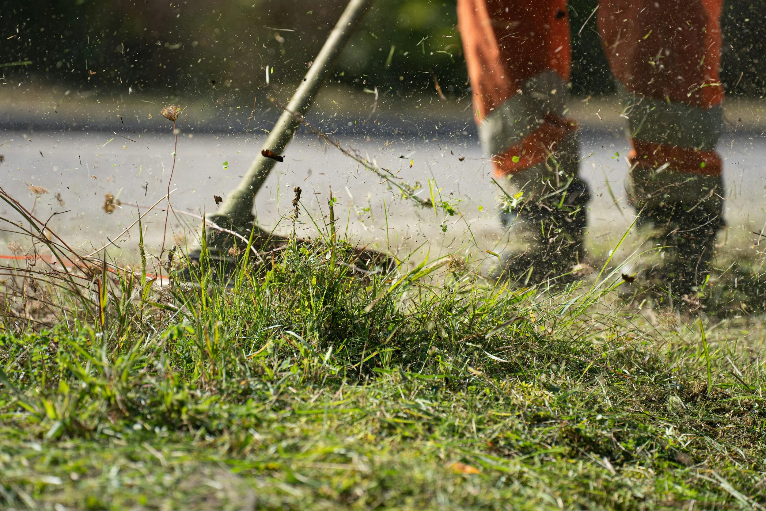 Person wearing orange work boots and orange pants using a rake to gather grass and weeds on a lawn.
