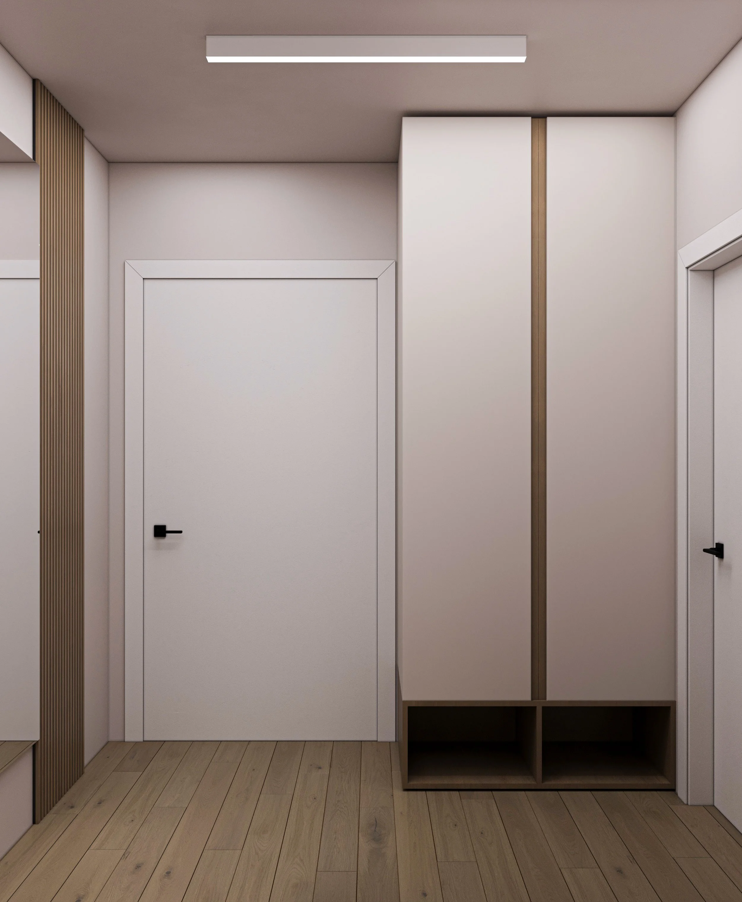 Modern interior hallway with closed white door, built-in storage units, and wooden flooring.