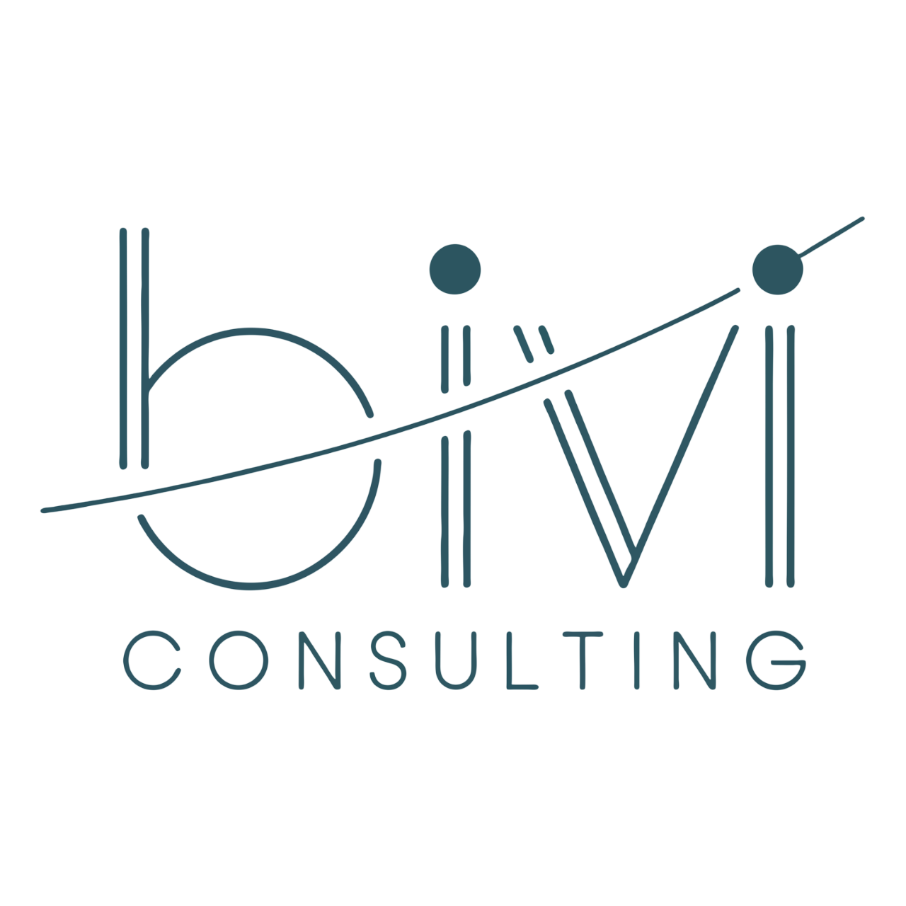 BIVI CONSULTING