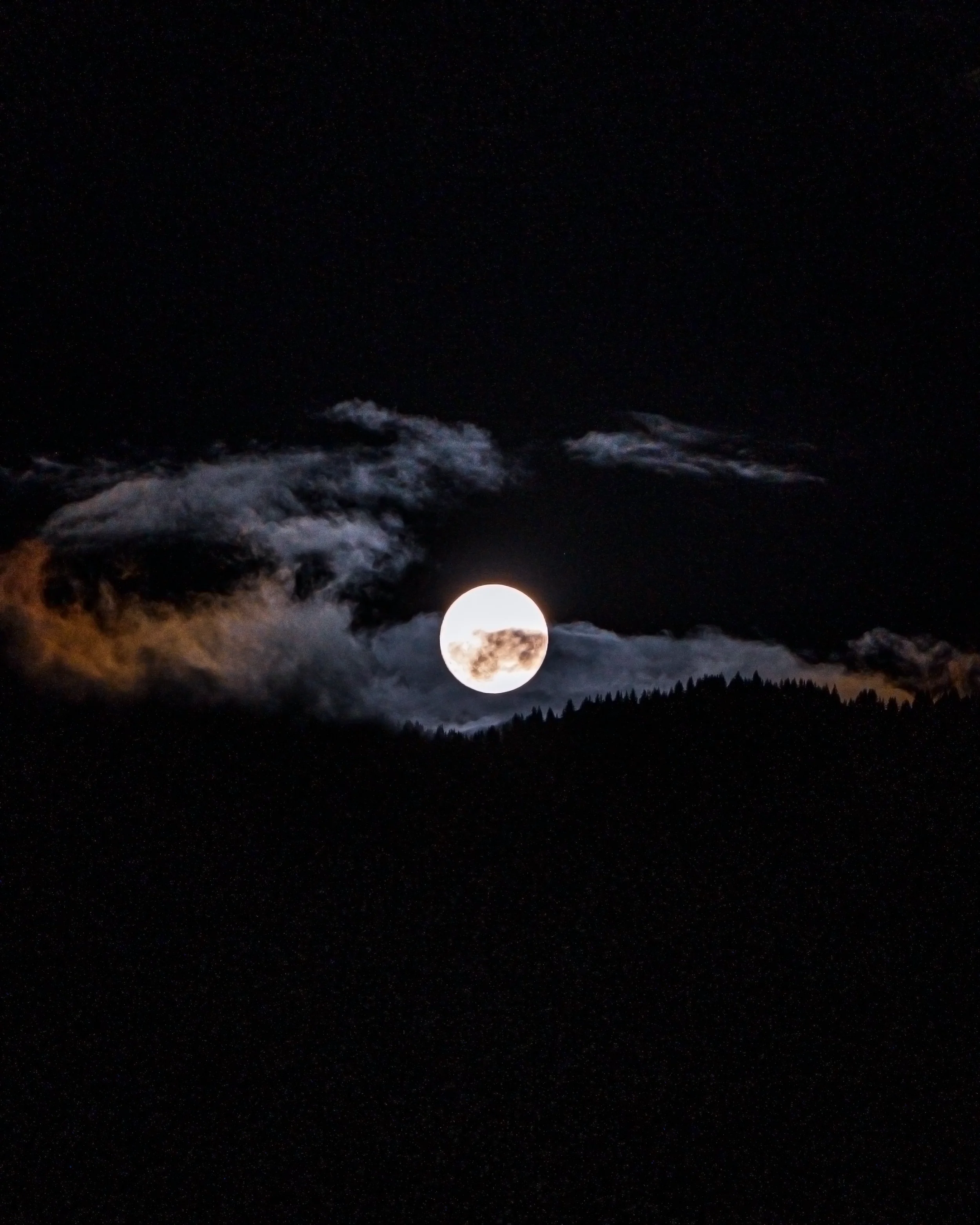 Lune pleine dans le ciel nocturne entourée de nuages au-dessus d'une forêt