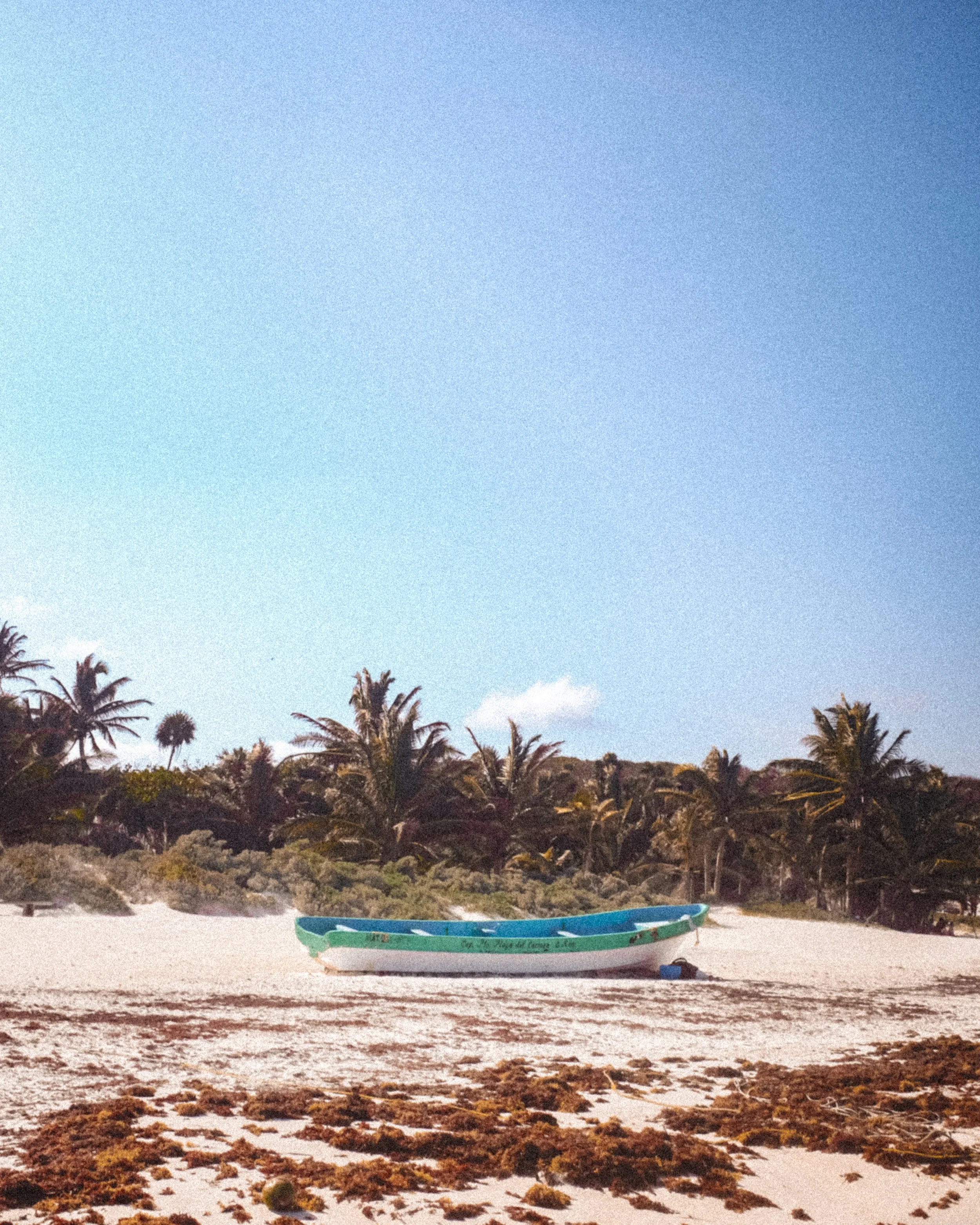 Bâteau posé sur le sable d'une plage avec des palmiers en fond et un ciel bleu.