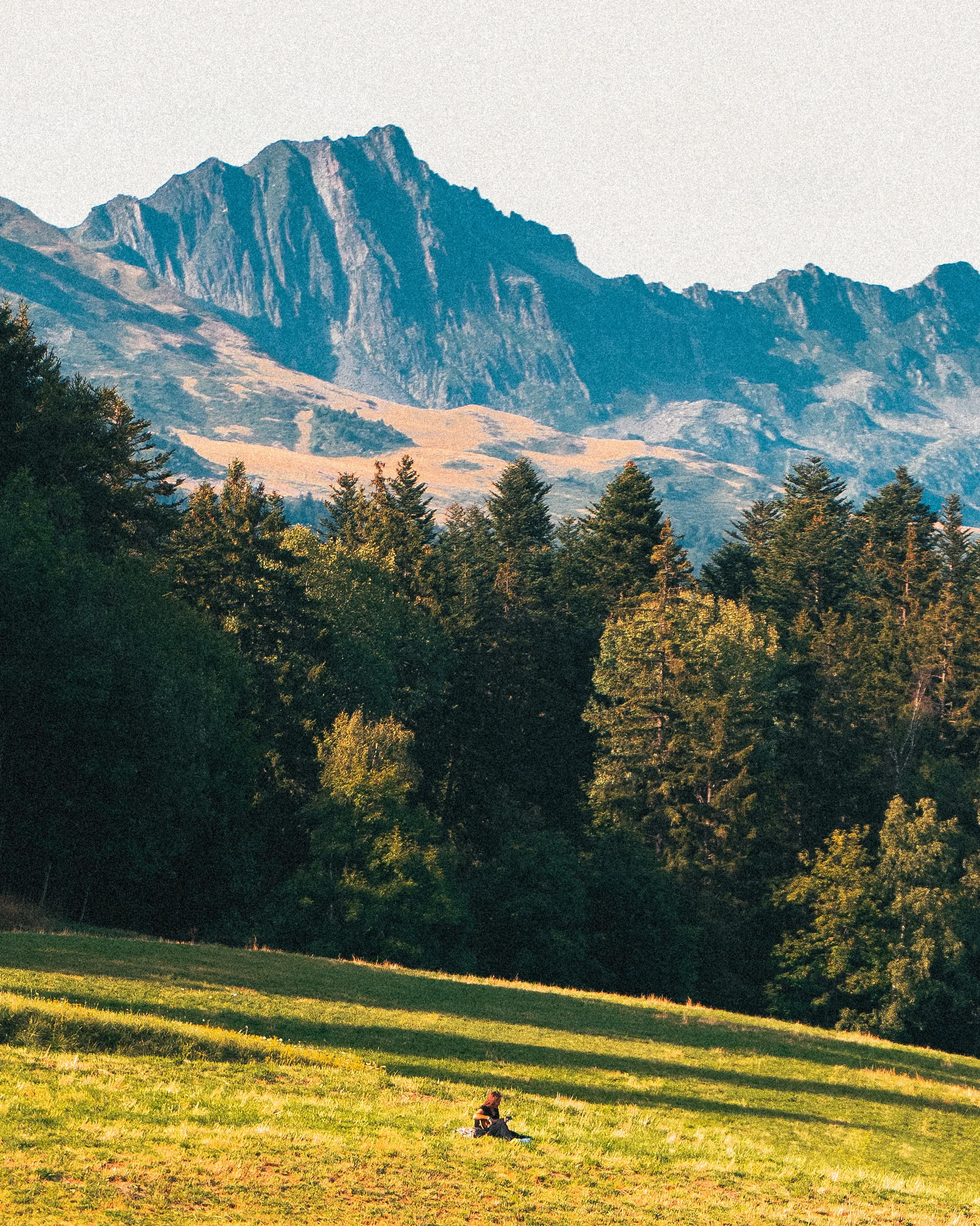 Une personne assise sur une prairie verdoyante, entourée d'arbres, avec des montagnes en arrière-plan sous un ciel clair.