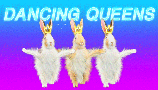 Three fluffy white rabbits with golden crown headbands dancing against a purple background with the text "DANCING QUEENS" in blue at the top.