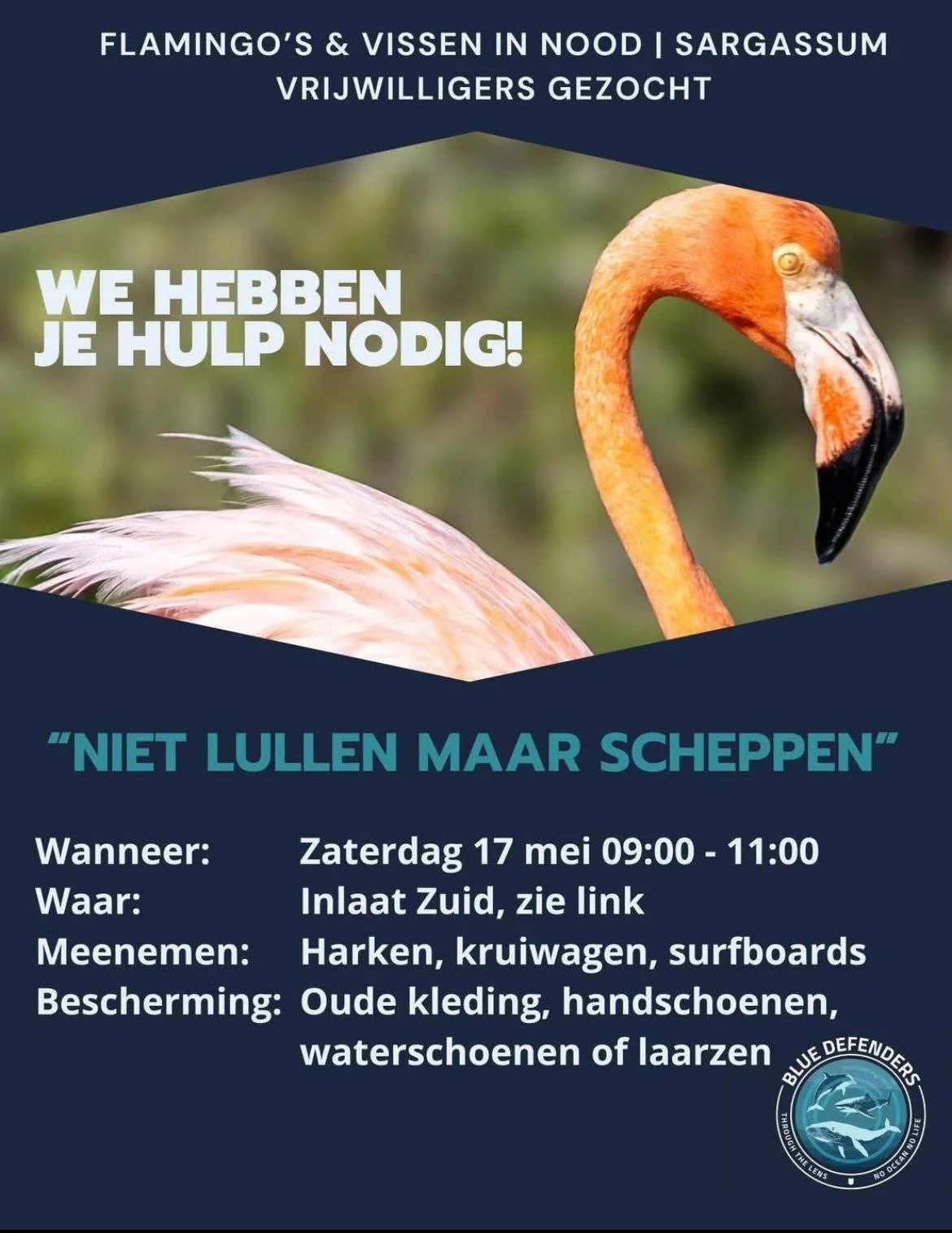 Vissen zonder zuurstof en flamingo’s zonder eten. Actie tijd!