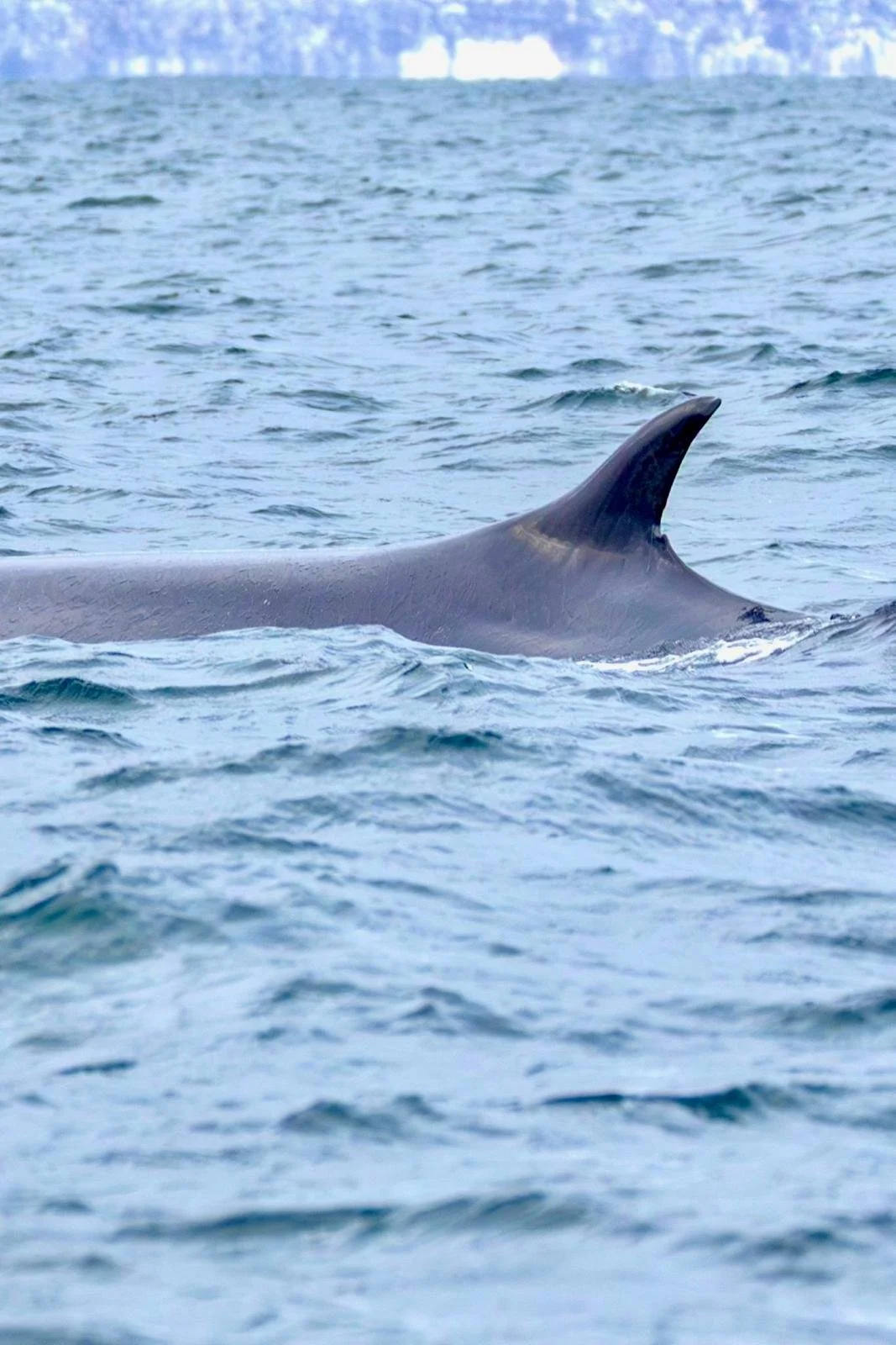 WhatsApp Image 2025-11-29 at 20.16.07 (1).jpeg