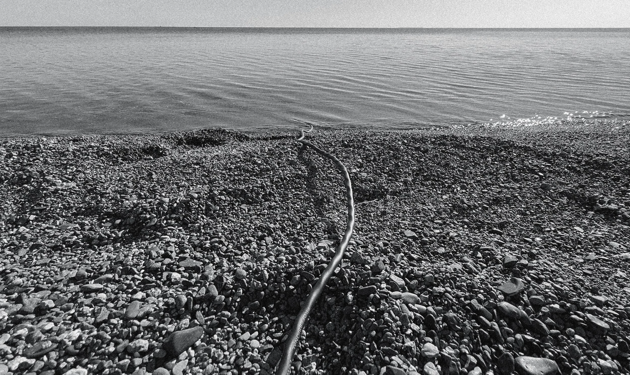 A black and white photo of a rocky beach with a cable extending from the foreground toward the water.
