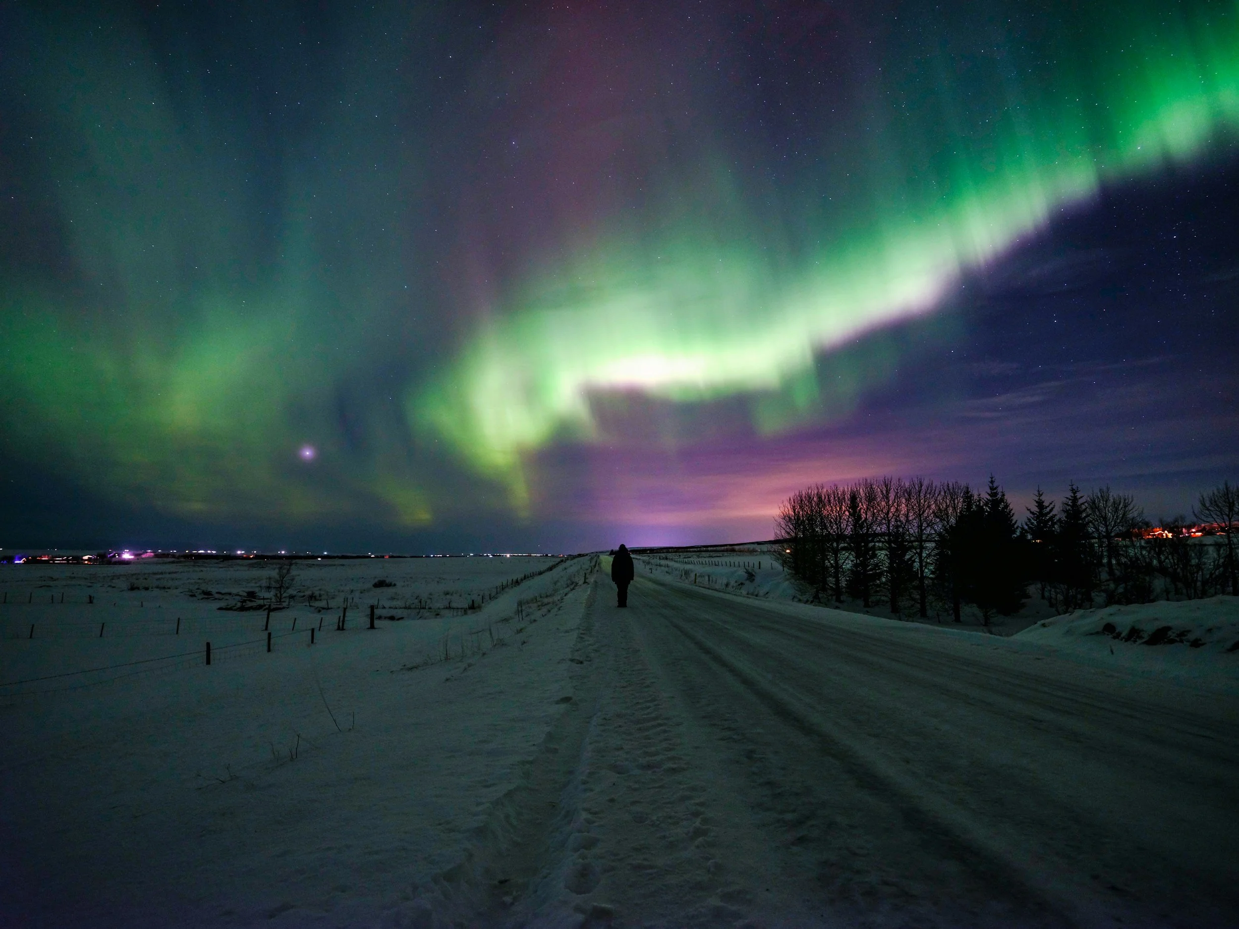 Fairbanks AK: Northern Lights and Dog Sledding