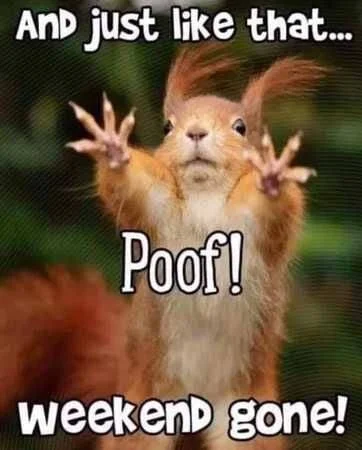 Rockin Healthy Vibes - inspiration poster, a squirrel saying "poof" weekend gone